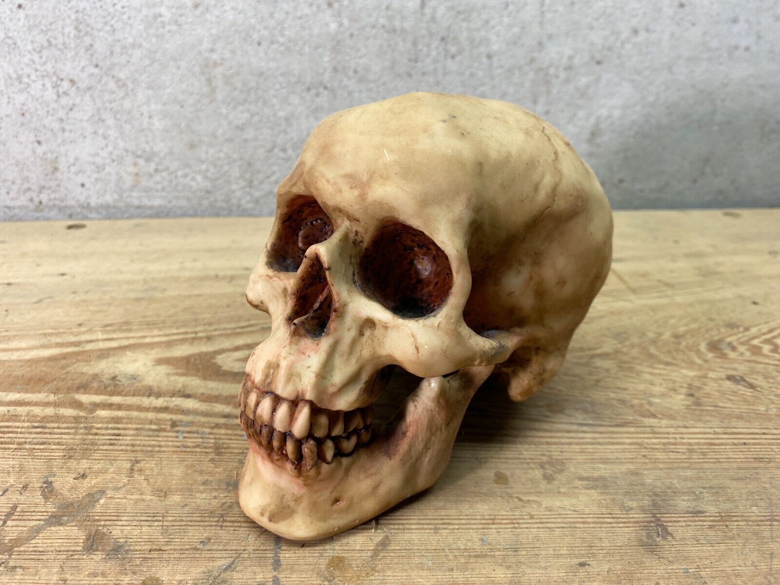 Realistic Human Skull Halloween Decor Decoration Resin (New)