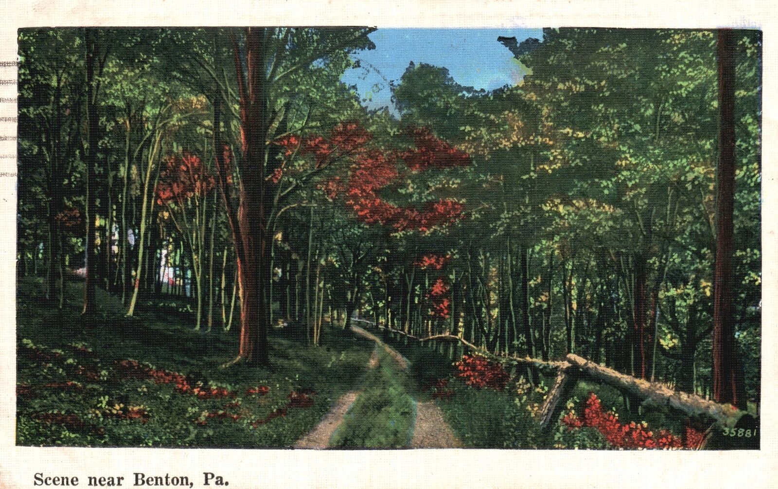 1938 Forest Trees Attraction Soghtseeing Benton Pennsylvania PA Posted Postcard