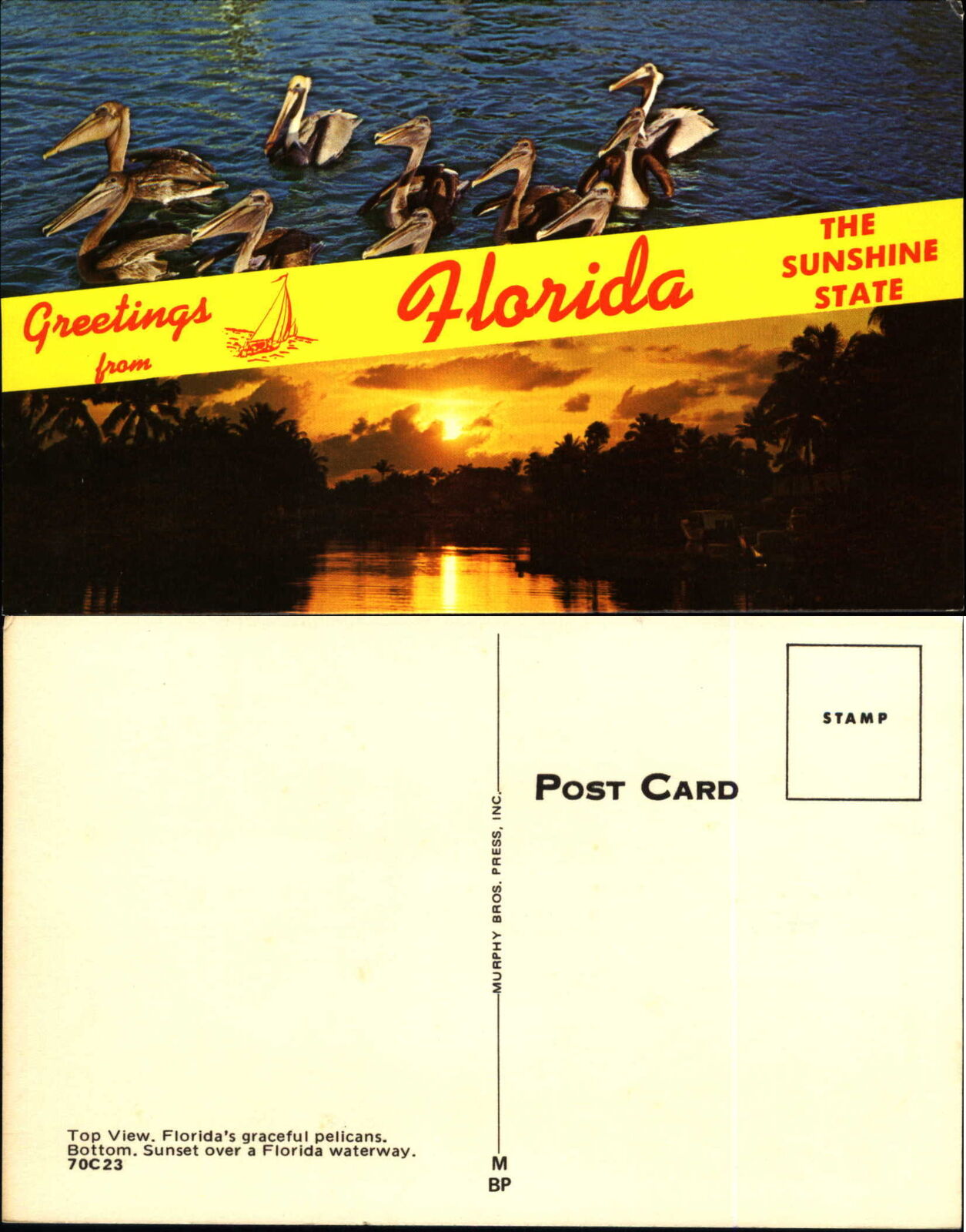 Greetings from Florida the Sunshine State pelicans birds sunset vintage postcard