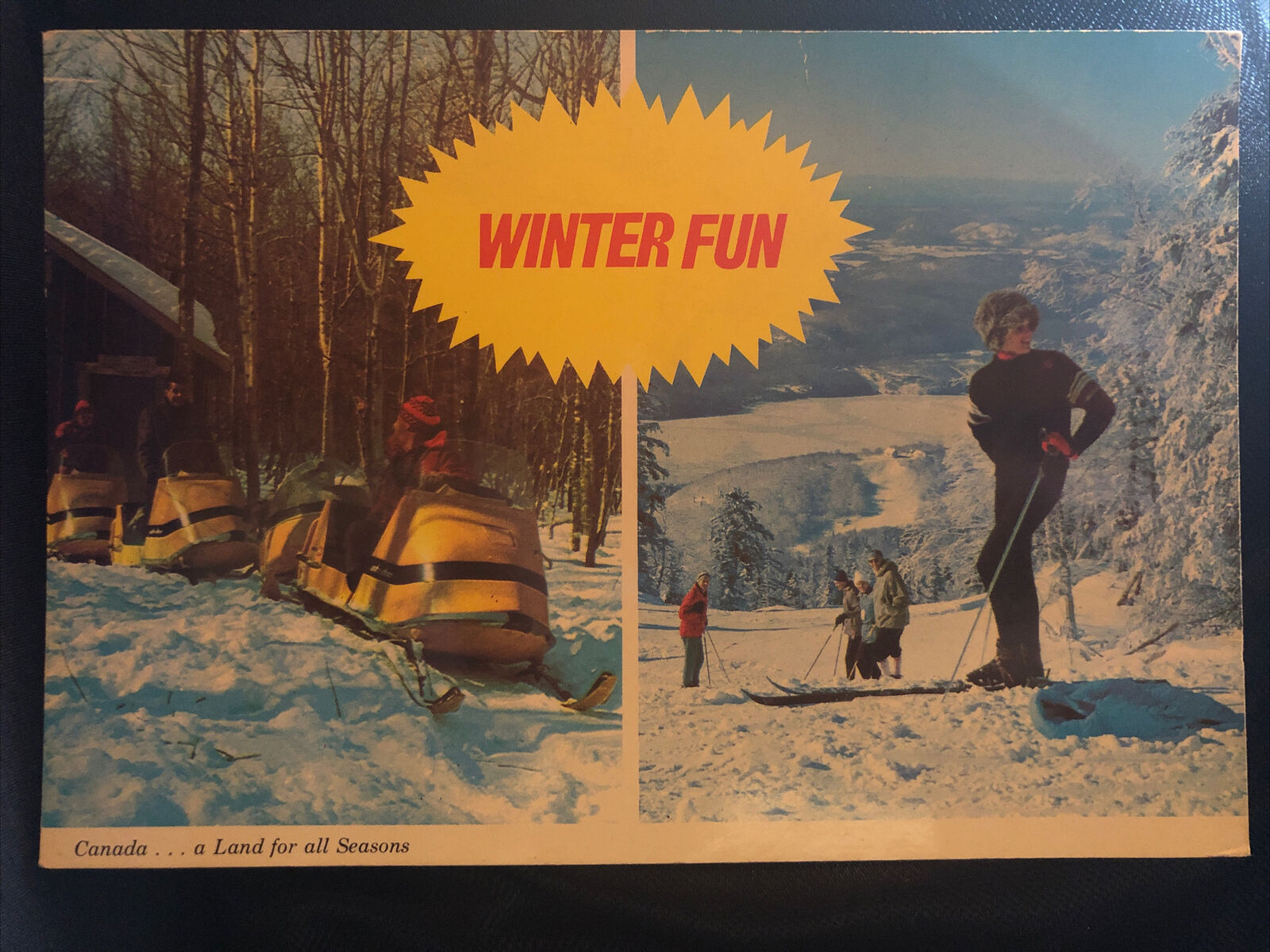 Winter Fun (Bracebridge Ontario) -  Real Picture - Postcard - 1960\'s