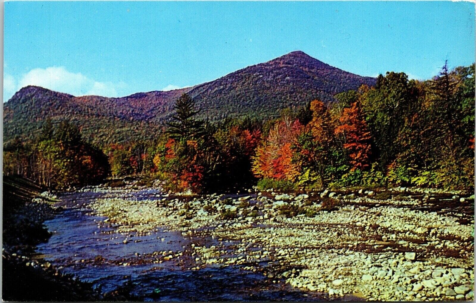 Typical New England Fall Autumn Scene Allen Koppel Color Cards Postcard UNP