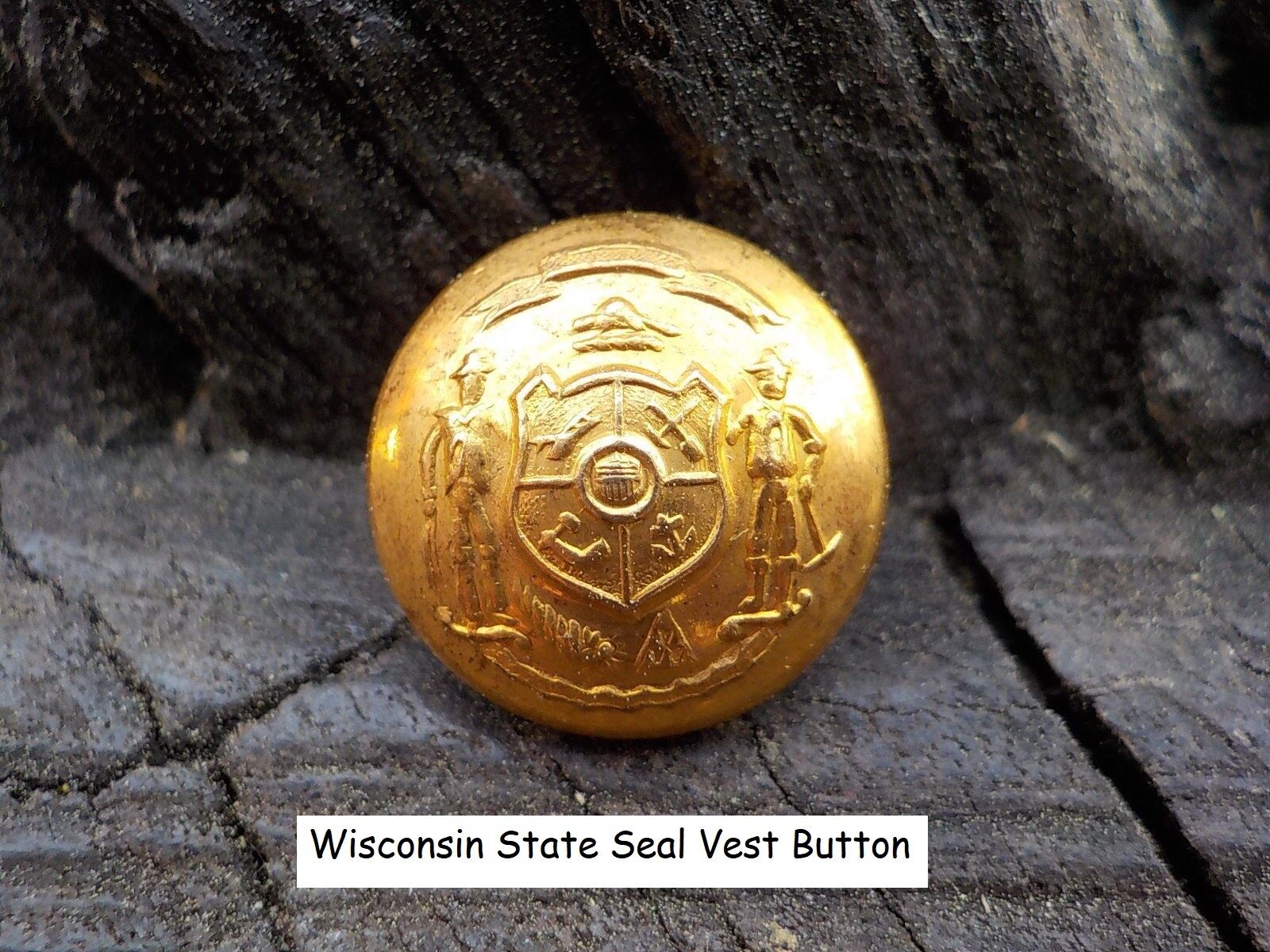 Old Rare Vintage Antique War Relic Wisconsin State Seal Vest Button