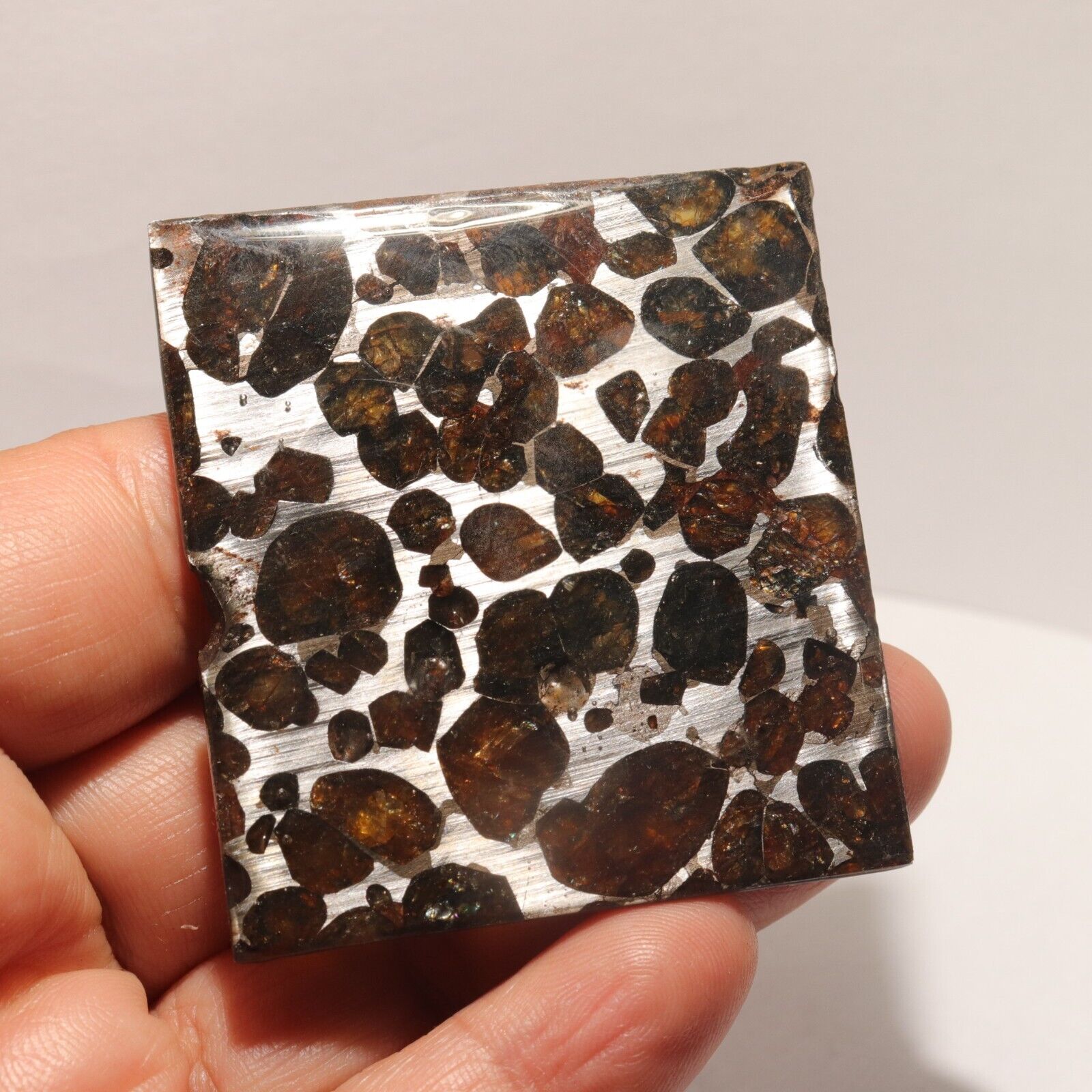 22g Rare slices of Kenyan Pallasite olive meteorite  A37