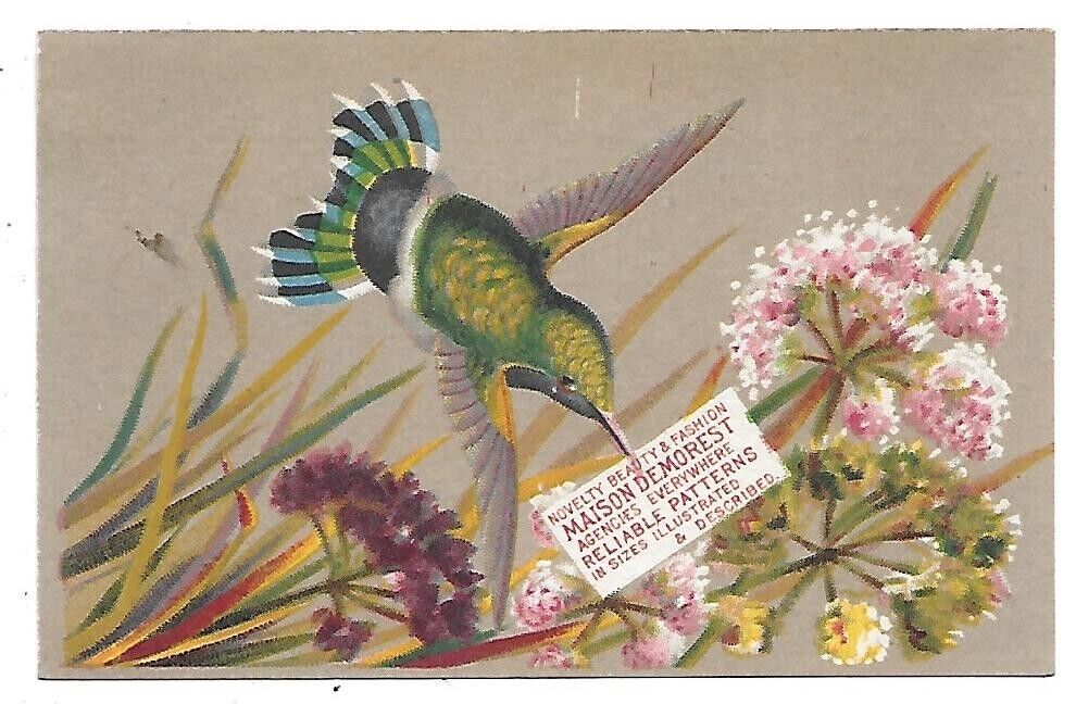 Maison Demorest  Green Humming Bird-Providence, R. I. Victorian Trade Card
