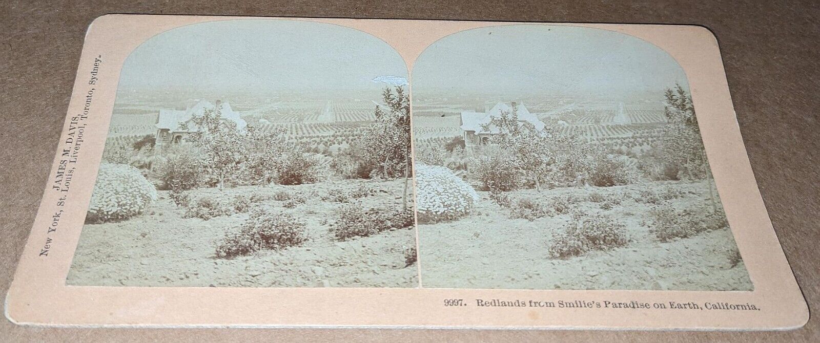 Davis Stereoview Redlands from Smilies Paradise on Earth California