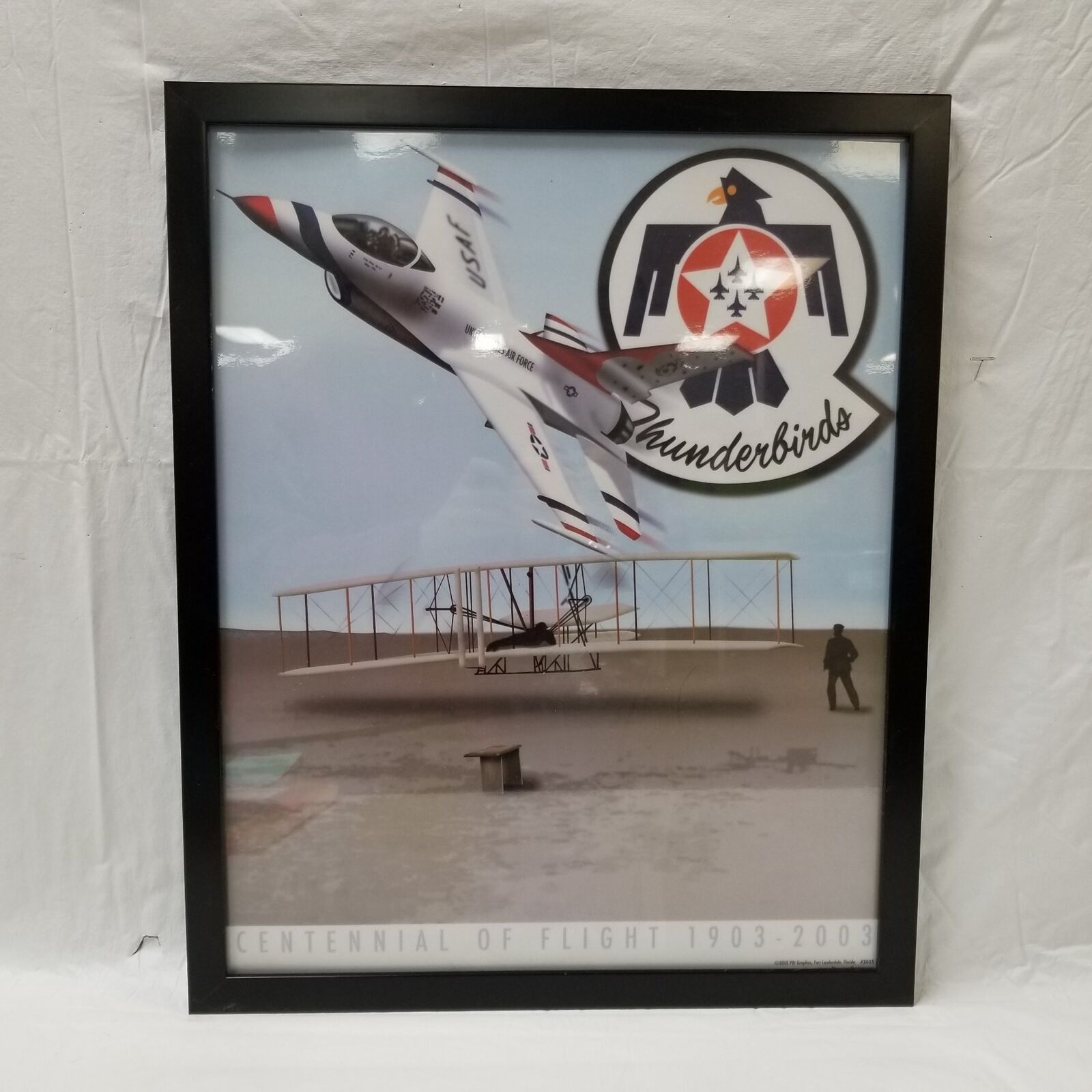 UNITED STATES AIR FORCE USAF Thunderbirds Centennial Of Flight Print 1903-2003^