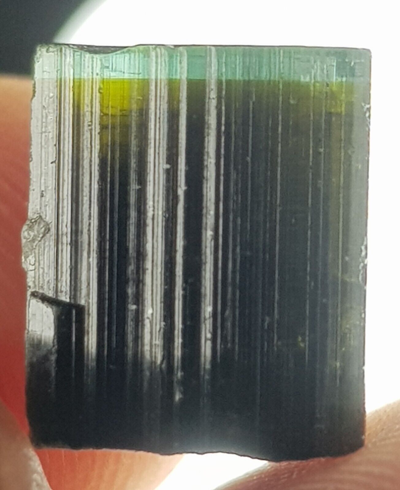 10 CT Natural Terminated Blue Cap TOURMALINE Transparent Crystal Afg