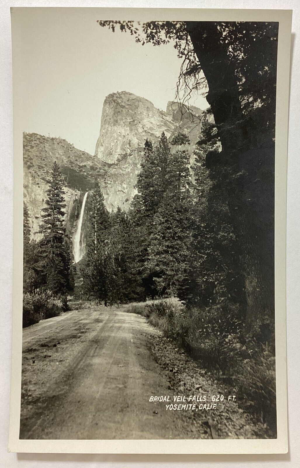 Yosemite Bridal Veil Falls California Real Photo Vintage RPPC Postcard Unposted