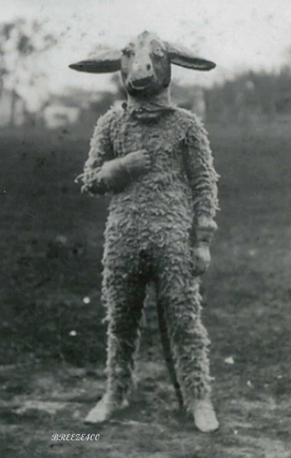 Odd Vintage Photo/Strange, Unusual, Creepy/MAN IN DONKEY COSTUME/4x6 B&W Reprint