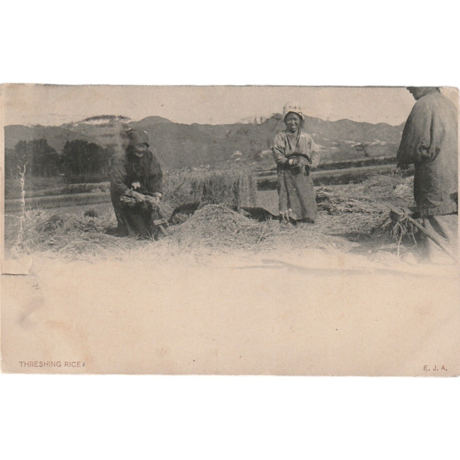 1909 Threshing The Rice Rppc Postcard Columbia Mo