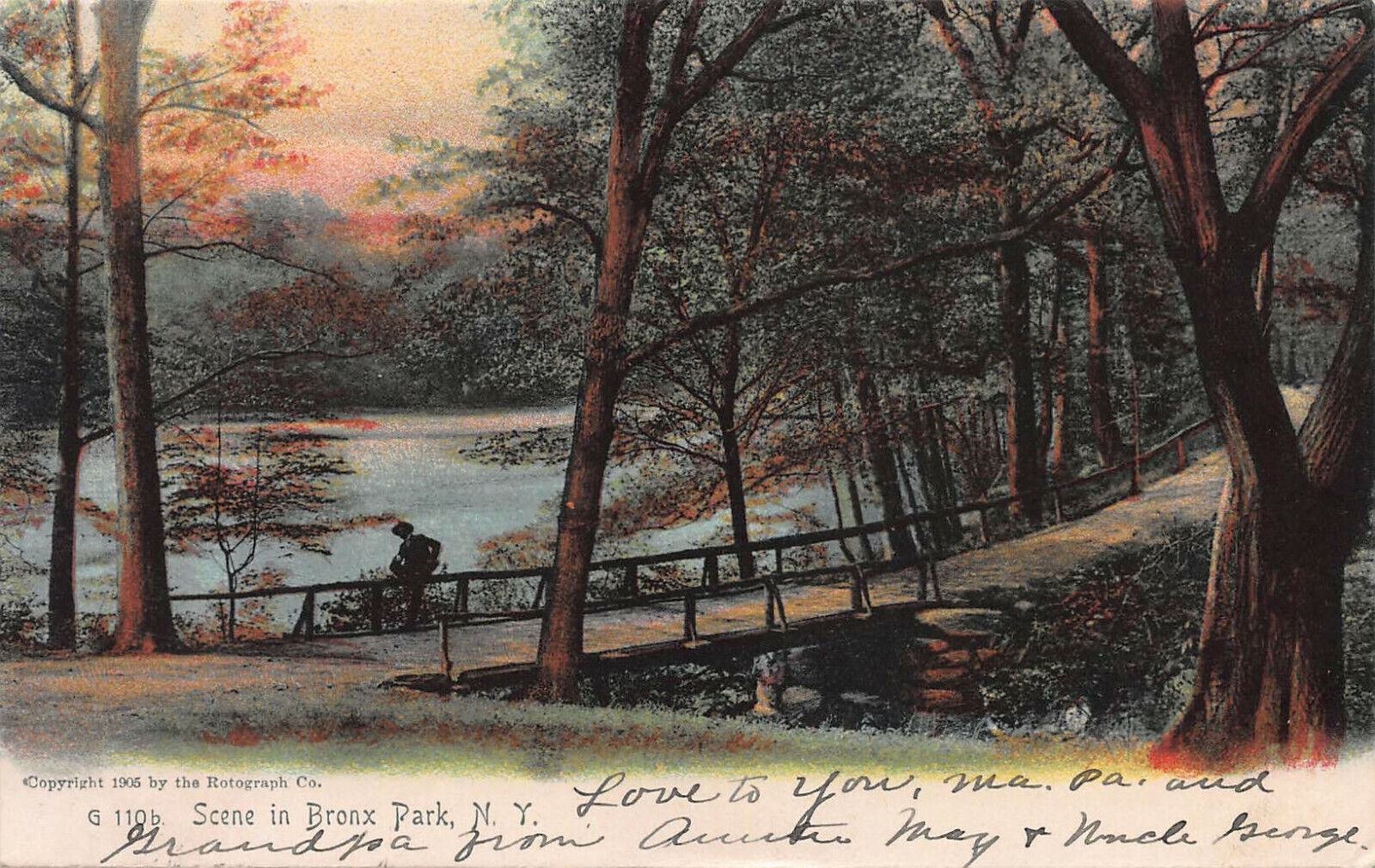 Scene in Bronx Park, New York, Early Postcard, Used in 1906