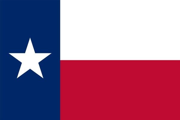 Texas Flag Die Cut Glossy Fridge Magnet