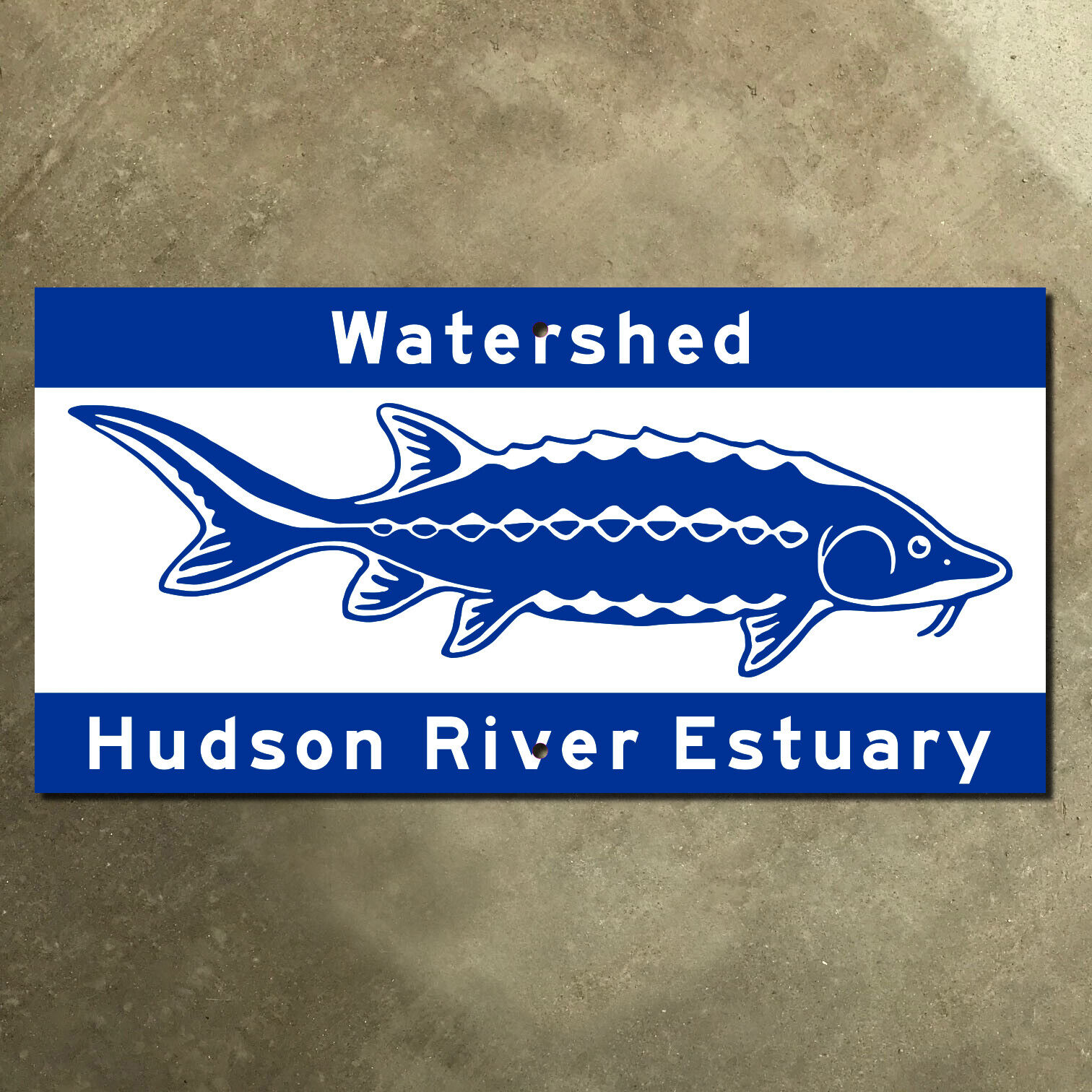 New York Hudson River Estuary watershed road highway sign sturgeon fish 16x8