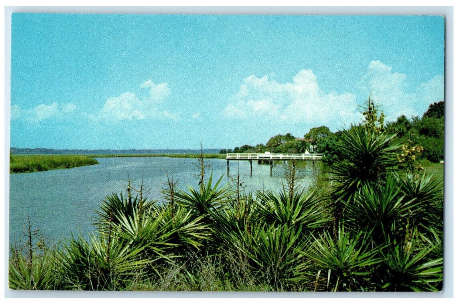 c1960 Picturesque View Black Banks River Sea Island Georgia GA Vintage Postcard