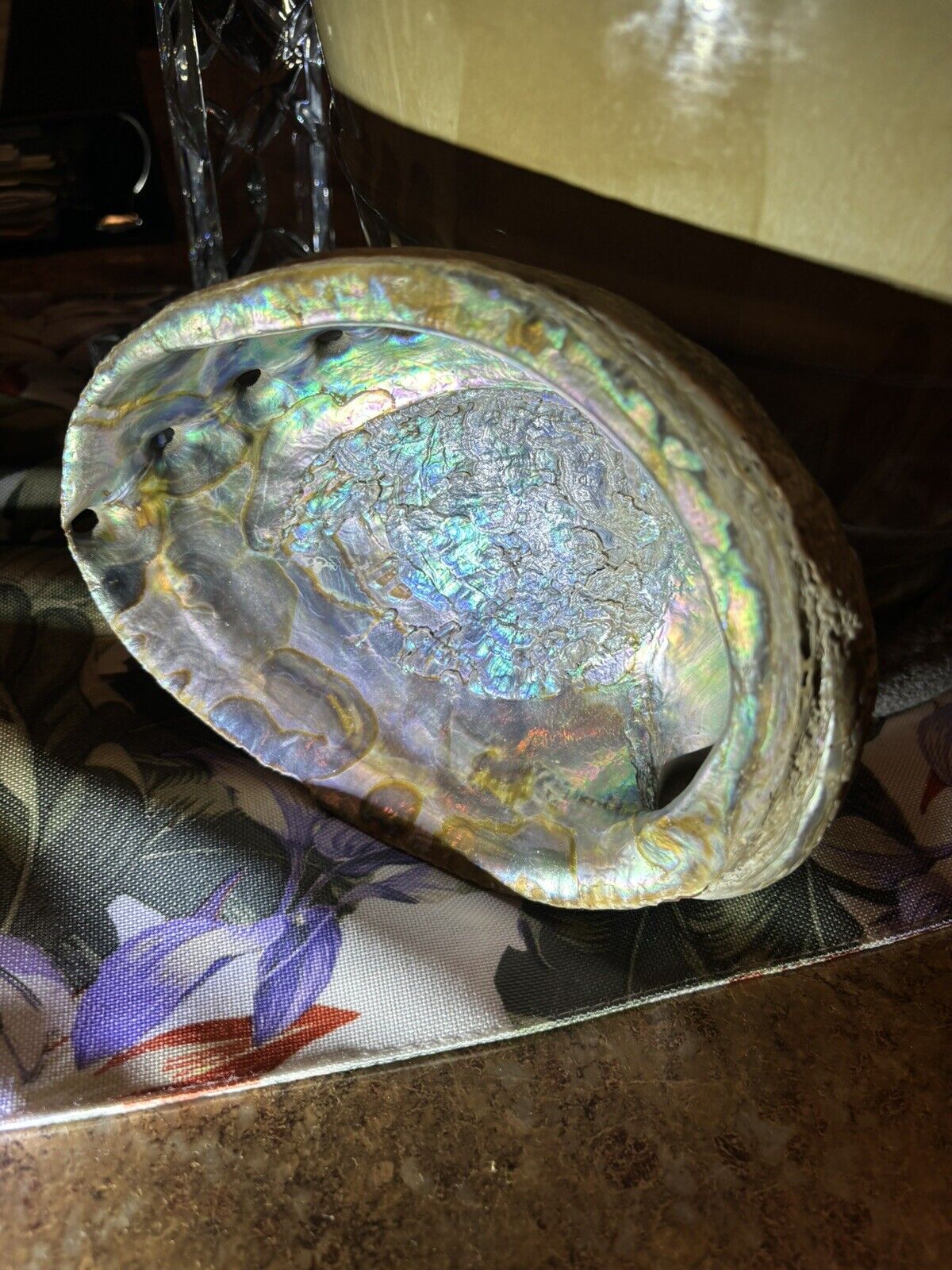 Abalone Shell Smudging Bowl Seashell Incense Burner, 5-6 Inches