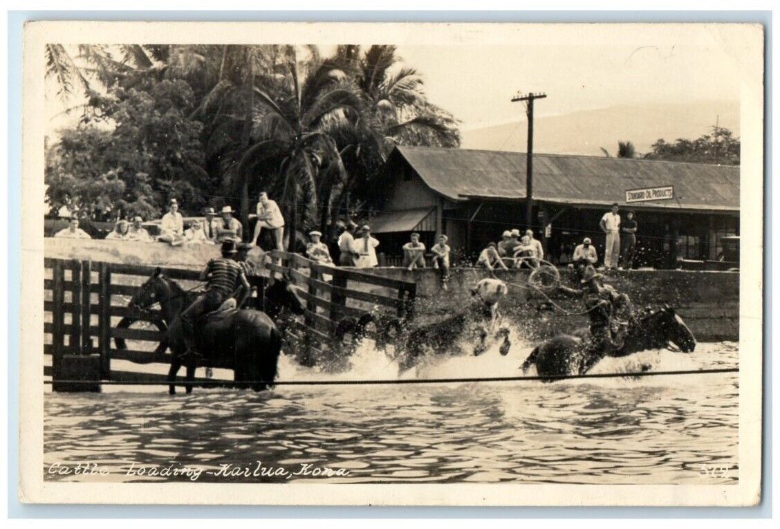 c1950's Cattle Loading Horses Standard Oil Kailua-Kona HI RPPC Photo Postcard