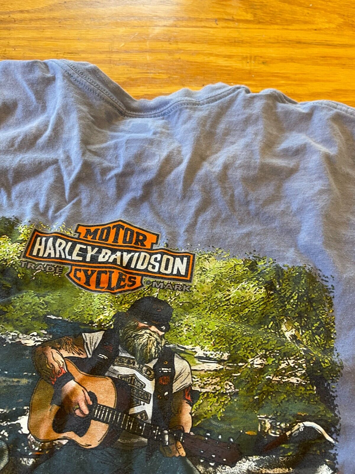 Harley Davidson T Shirt Men\'s Size Large Cherohala Skyway Tellico Plains TN