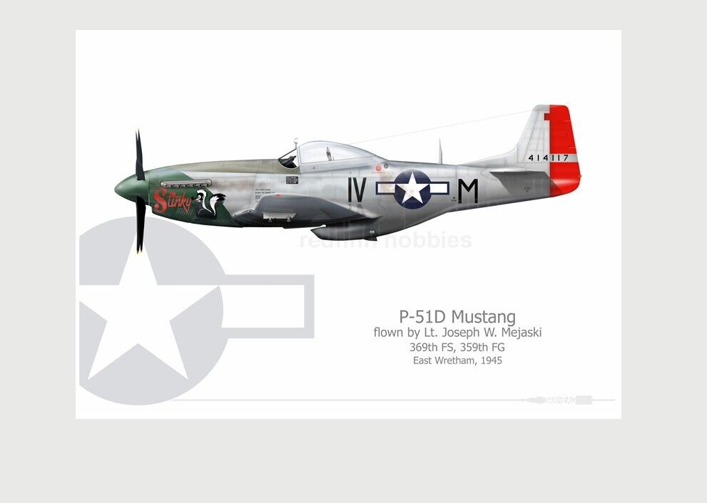 Warhead Illustrated P-51D Mustang 369th FS, 359th FG Stinky Aircraft Print