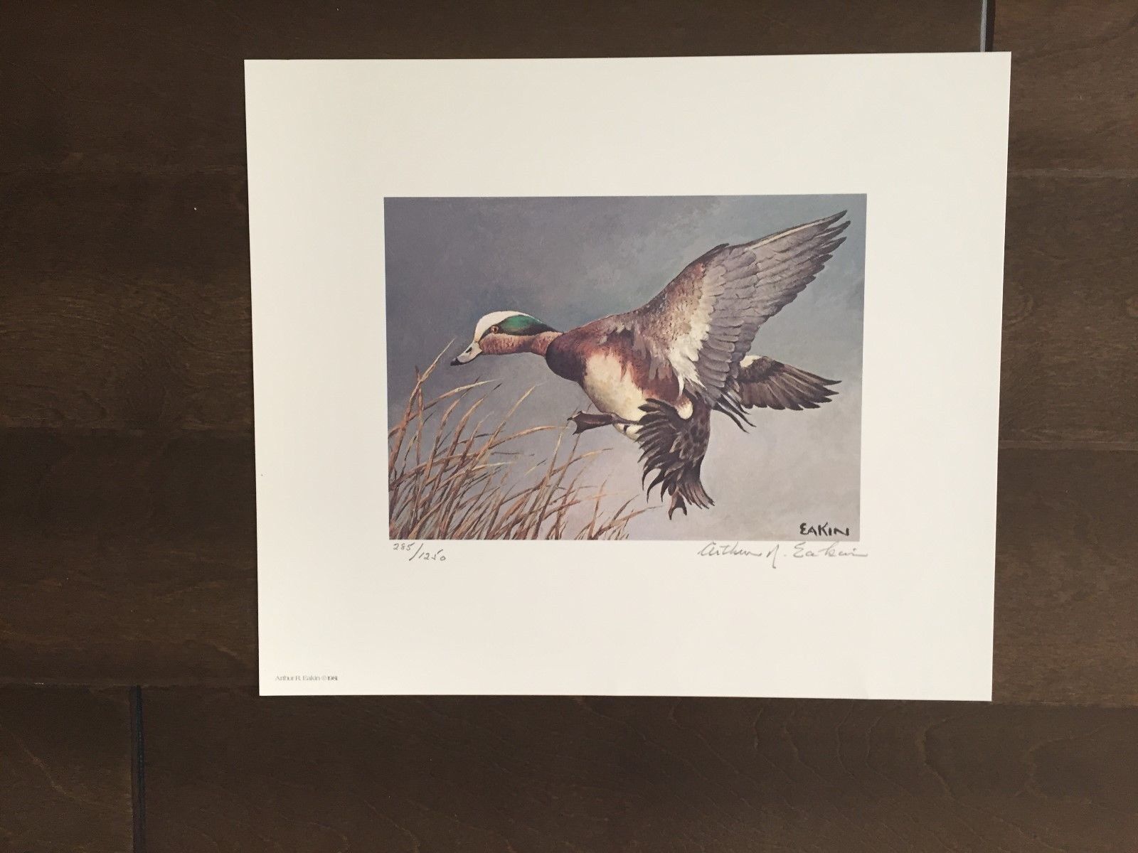 Maryland Migratory Duck Color Print -Signed by Arthur R. Eakin-1981