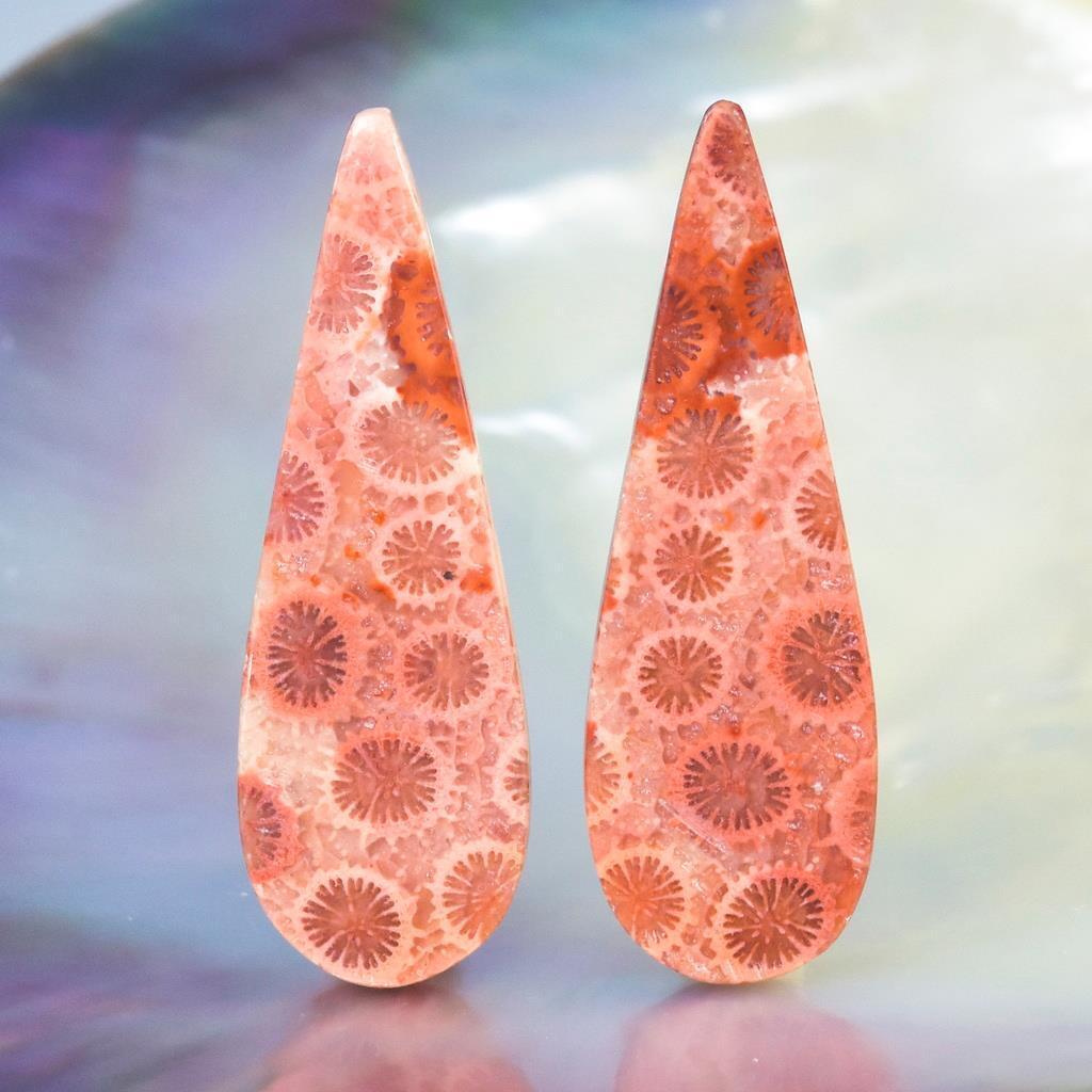 A-Grade Natural Agatized Fossil Coral Cabochon Pair for Earrings Indonesia 4.43g