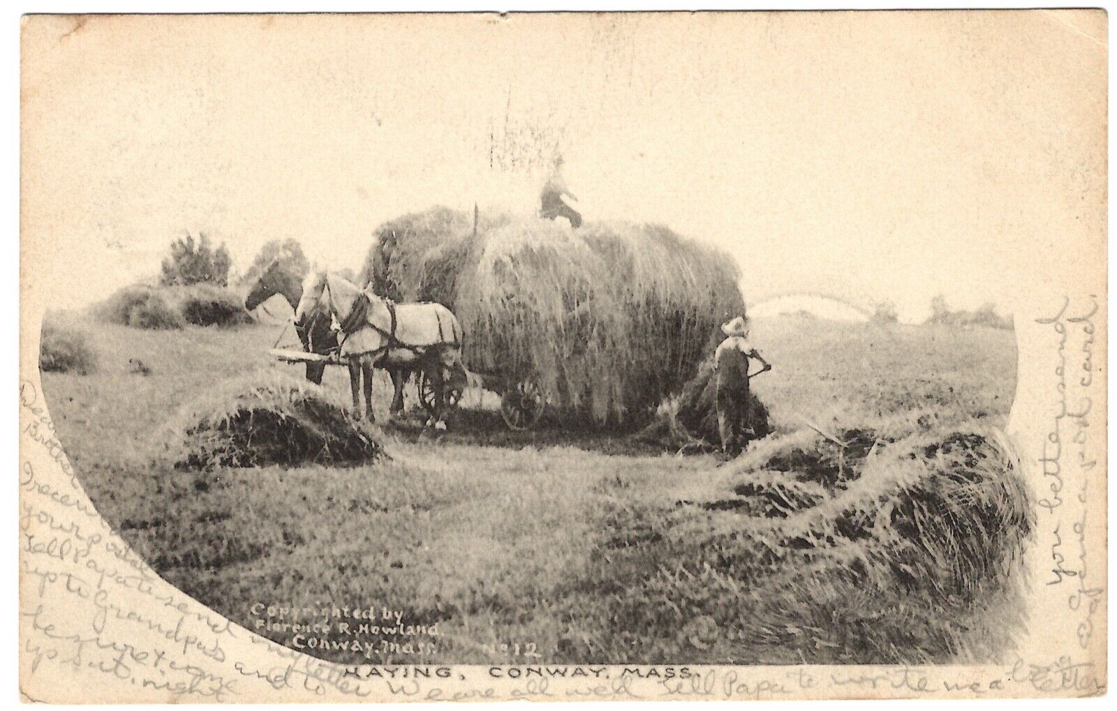 1906 CONWAY MA Photo Postcard Hay Harvest Time 2 Draft Horses pulling HAY WAGON