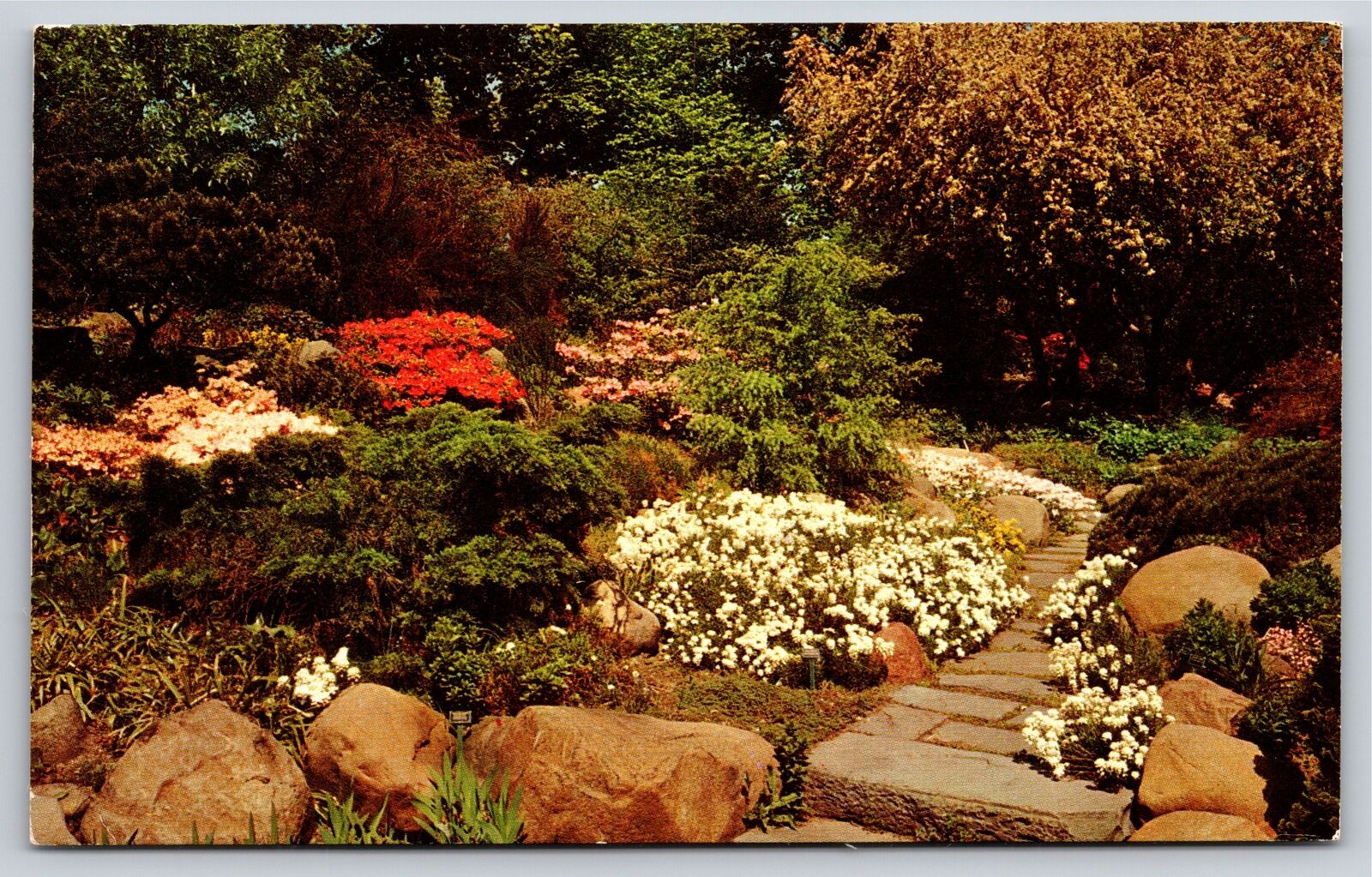 Flowers~Brooklyn Botanic Rock Garden Pathway Scene~PM 1972~Vintage Postcard