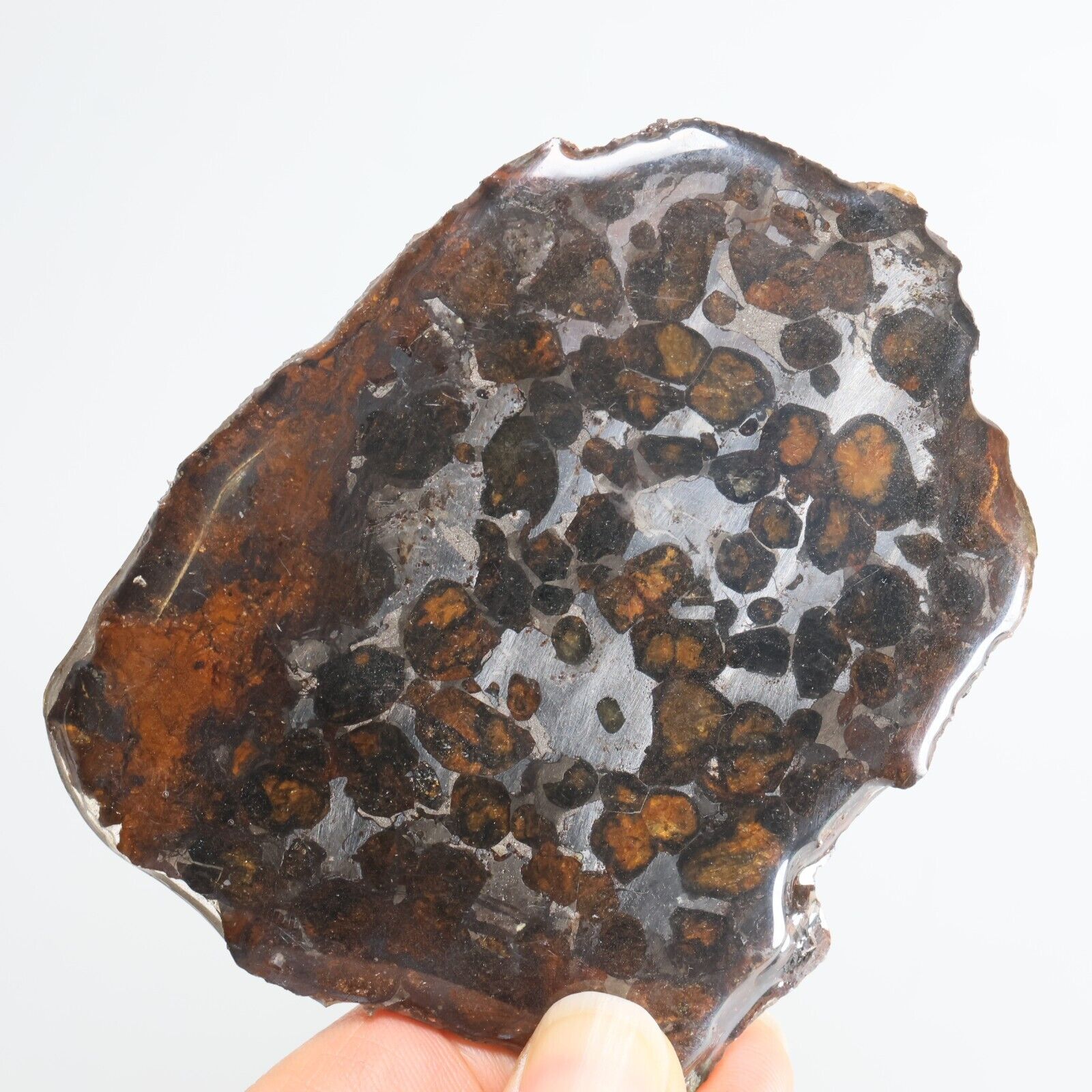 96g Natural SERICHO Pallasite olive meteorite slice - from Kenya F136