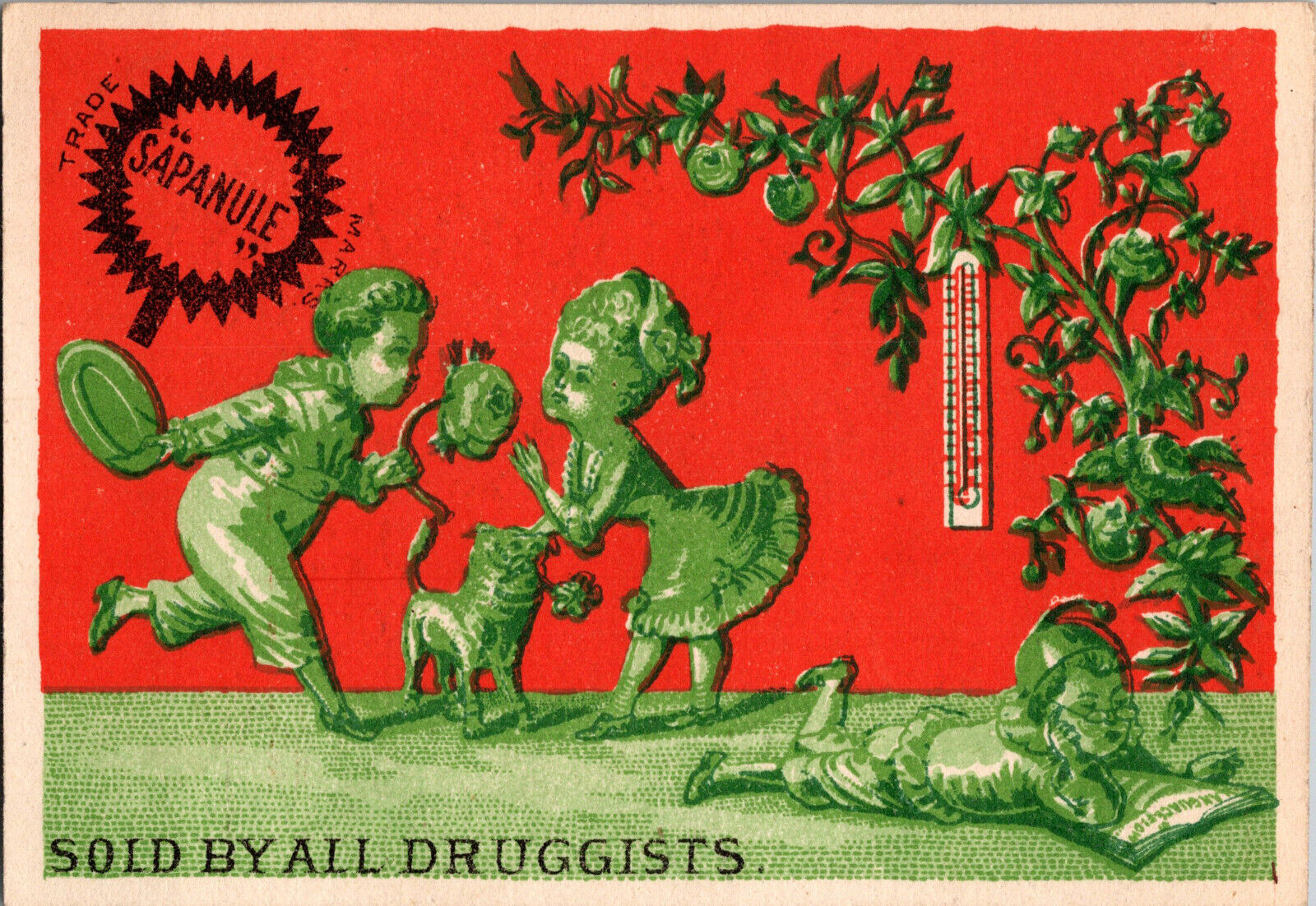 Sapanule Glycerine Lotion Druggist Victorian Trade Card 2.75\