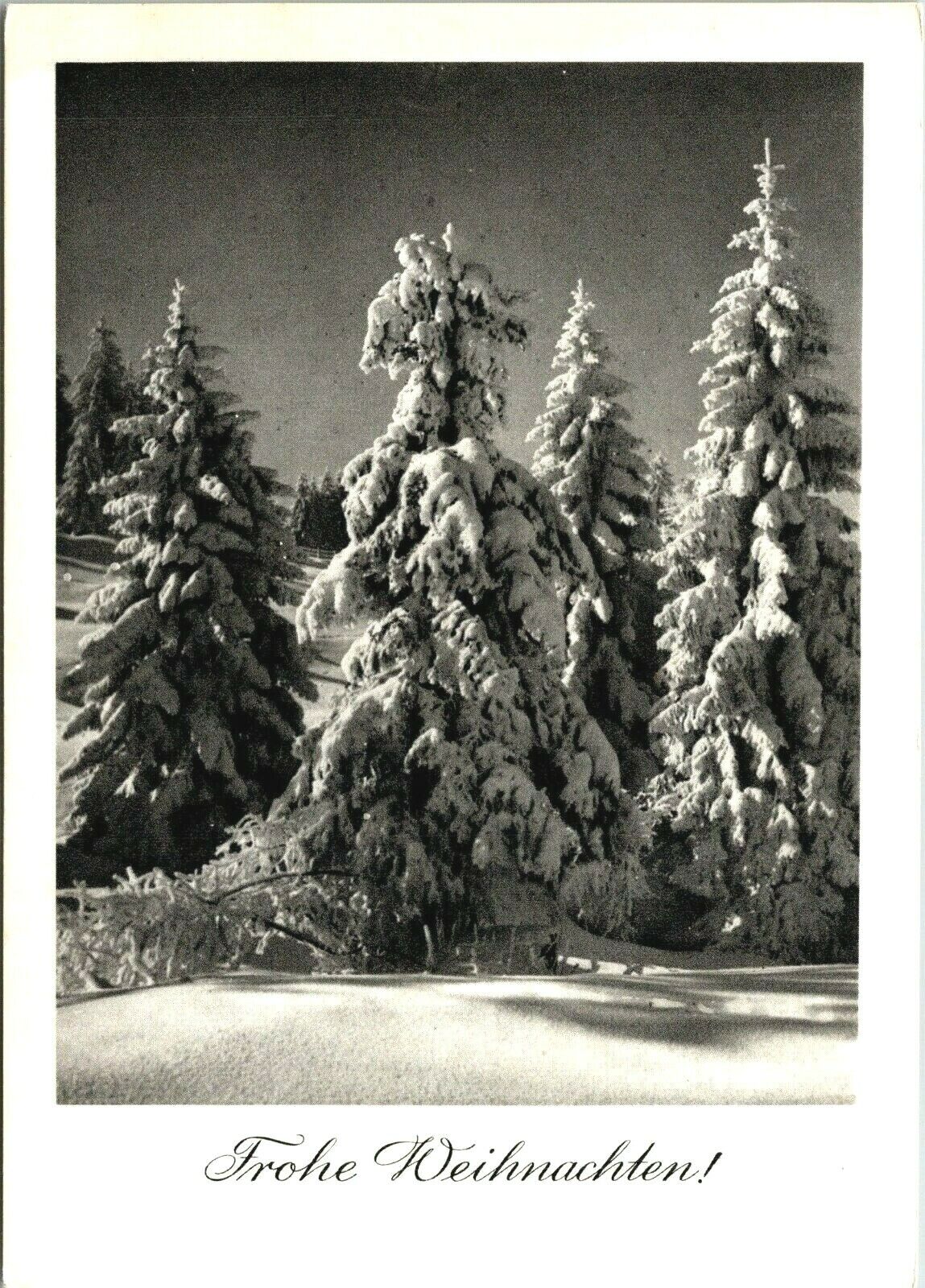 Vtg German Postcard Frohe Weihnachten (Happy Christmas) trees snow 