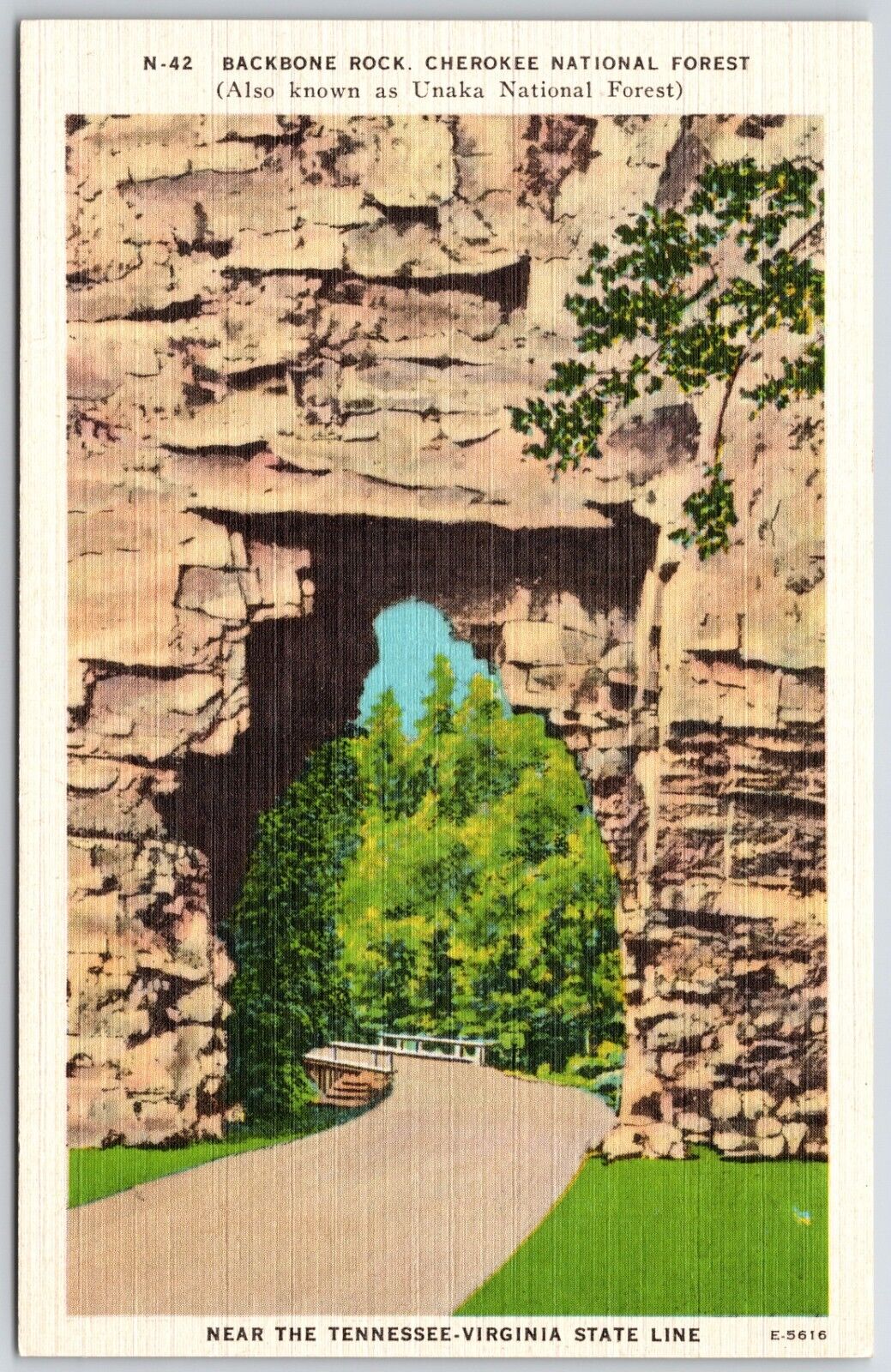 Vintage Backbone Rock Cherokee/Unaka National Forest Tennessee Virginia Postcard