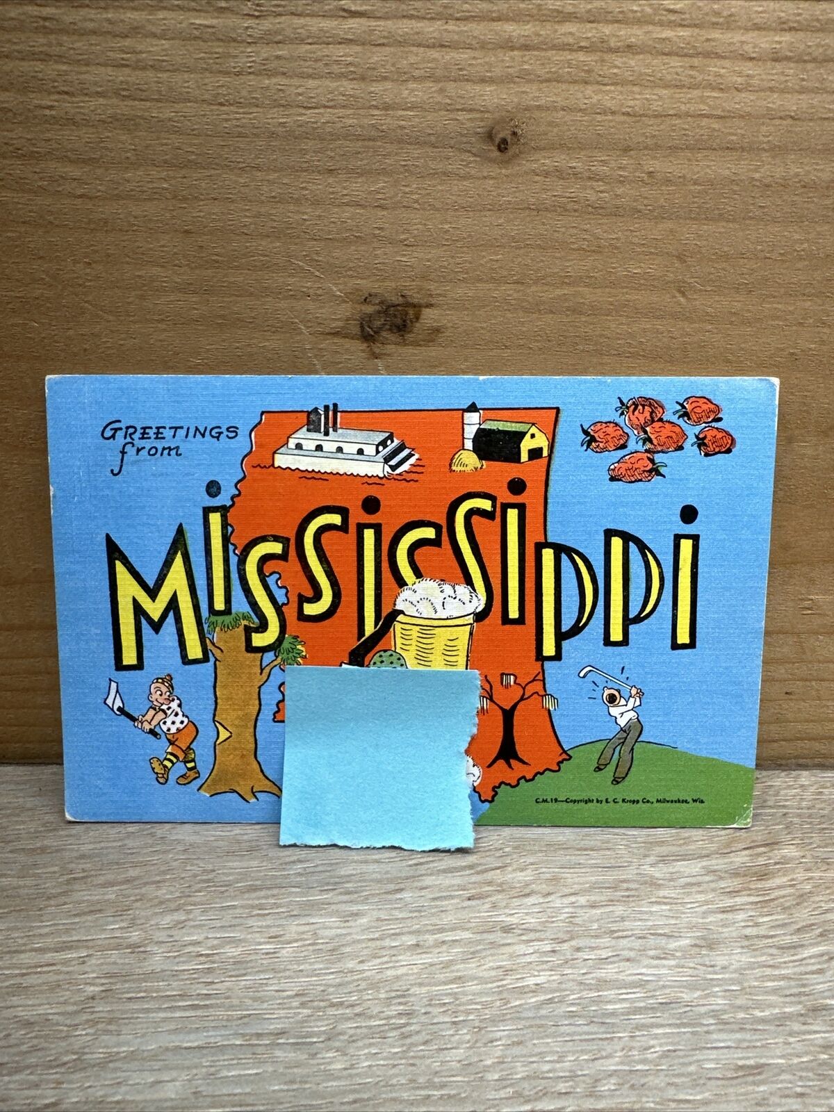 Greetings From Mississippi Vintage Postcard