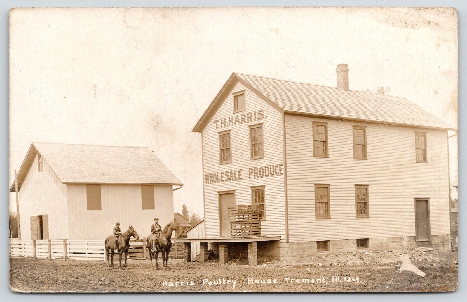 Tremont IL~TH Harris Wholesale Produce~Poultry House~Horseback Boys~1911 RPPC