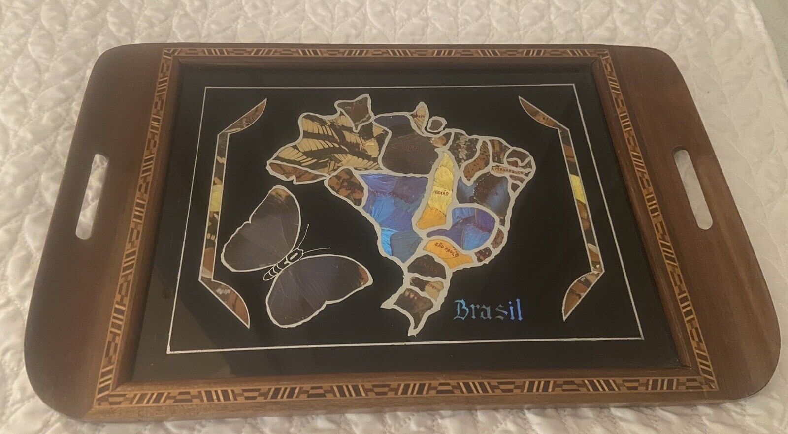 VTG Brazilian Butterfly Wing Art Inlaid Wooden Tray 20” X 13.5” W/ Glass Top