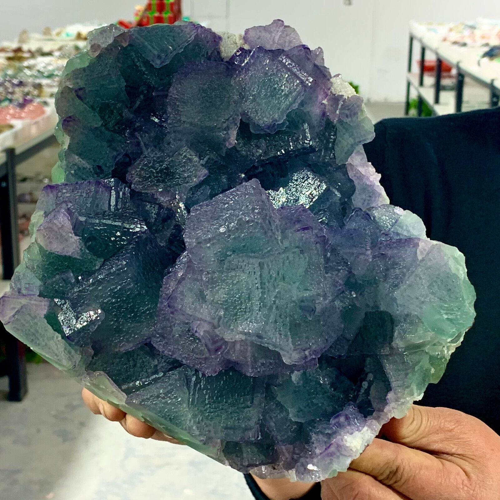 11LB Rare crystal samples of transparent green cubic fluorite/China