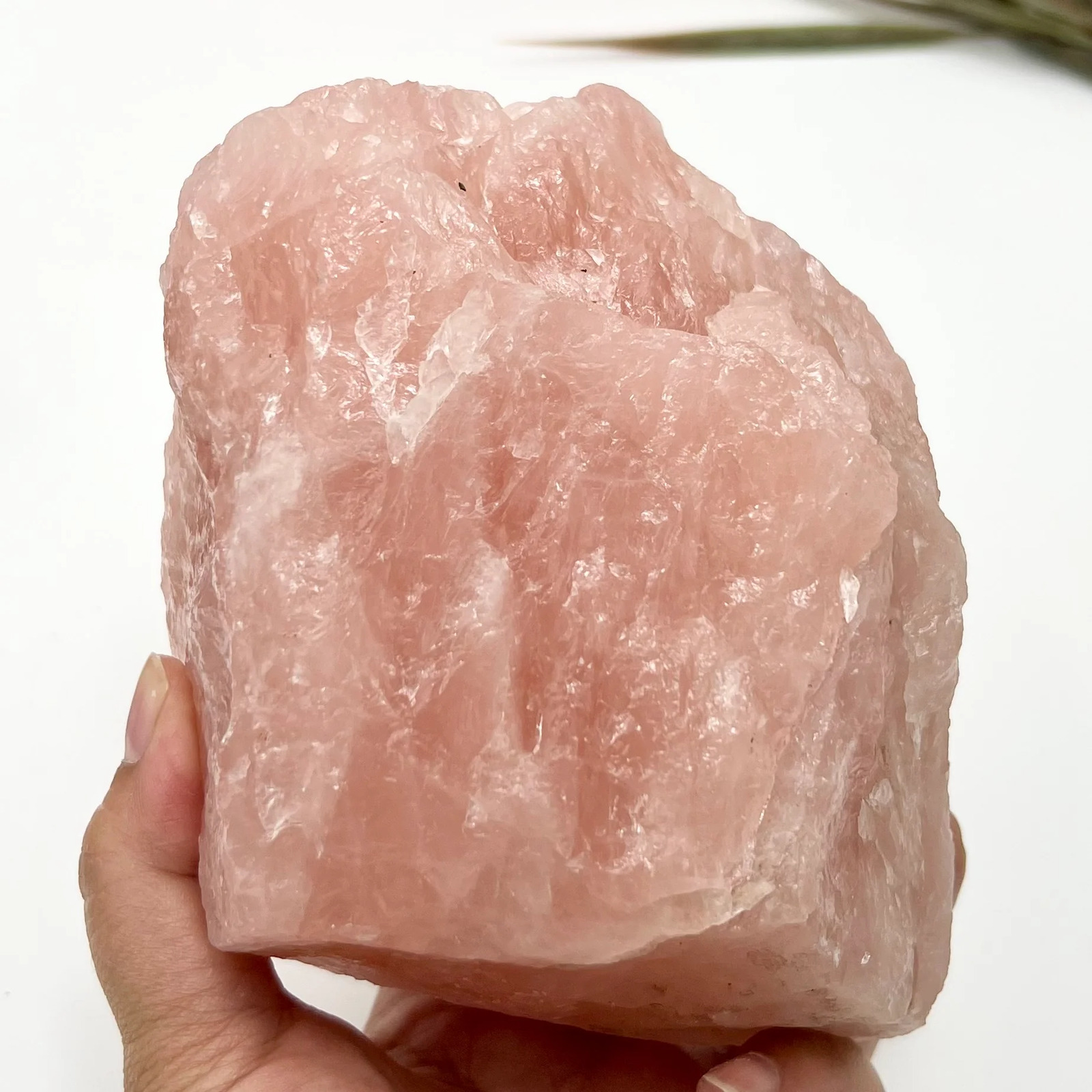 Large Rose Quartz Raw Specimen Natural Crystal 2007g Australian Seller