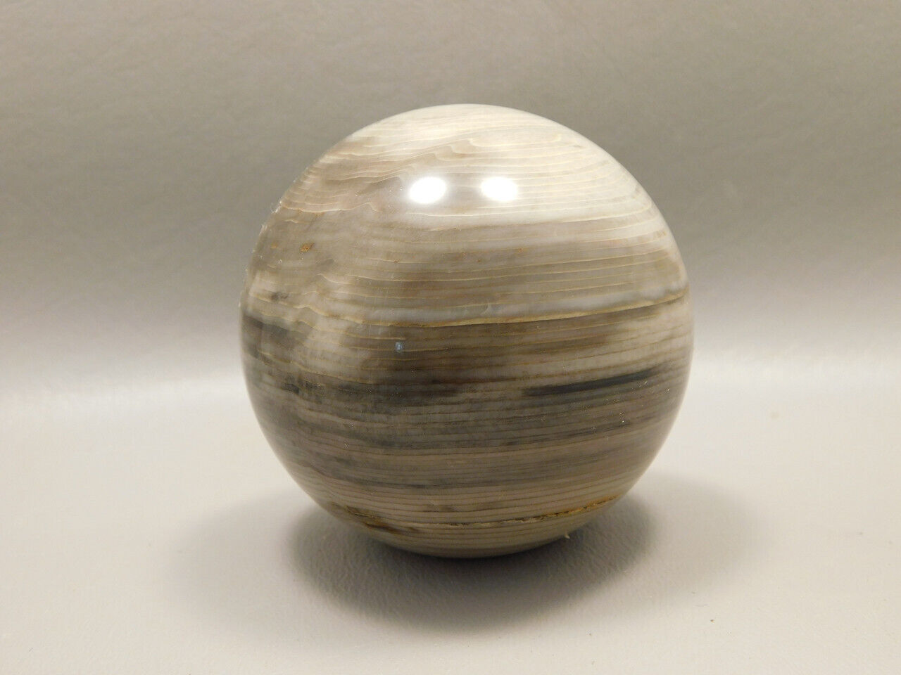 Petrified Sequoia Wood 2.6 inch Stone Sphere Fossilized USA #O1
