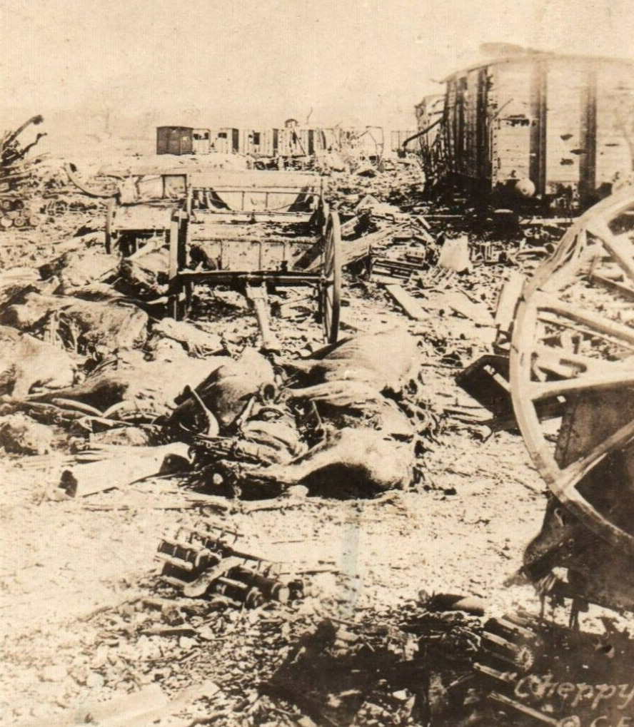 WWI World War Great War RPPC Postcard c.1914 Battlefield Horse Bodies Sad