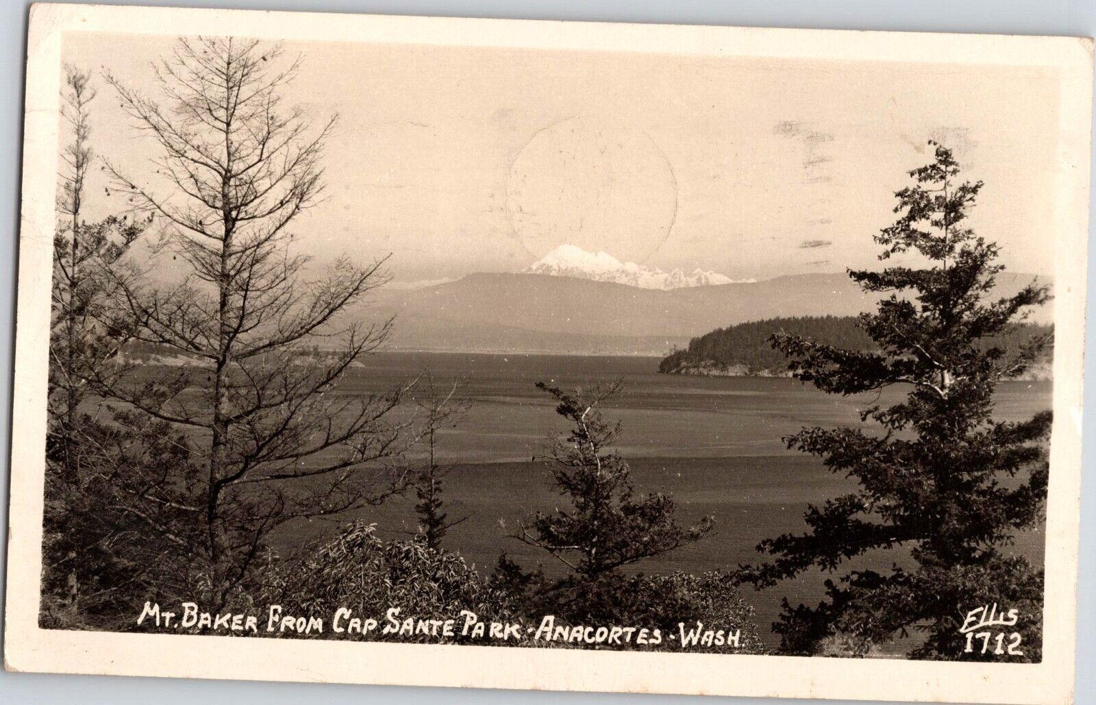 1946 Mt. Baker From Cap Sante Park Anacortes Washington RPPC Photo Postcard