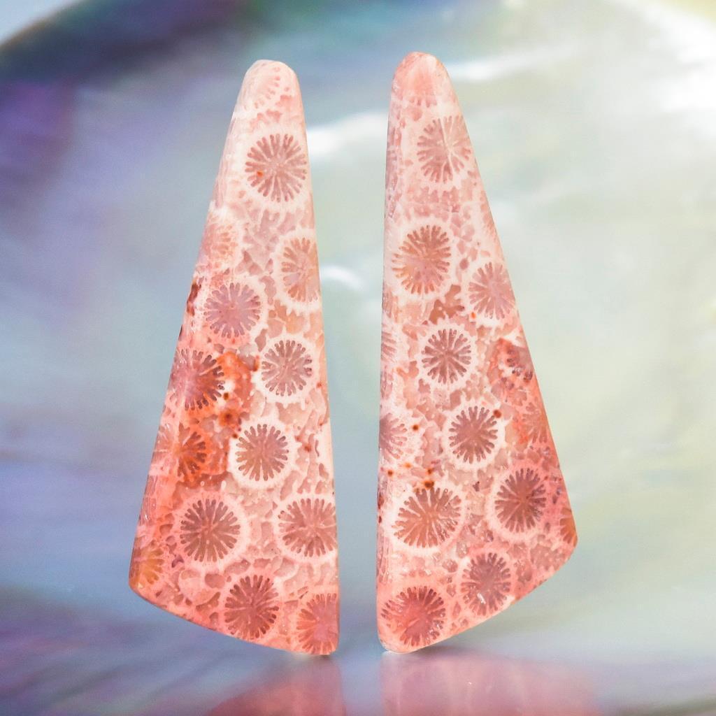 A-Grade Natural Agatized Fossil Coral Cabochon Pair for Earrings Indonesia 5.05g