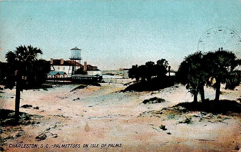 Postcard Palmettoes on Isle of Palms Charleston South Carolina