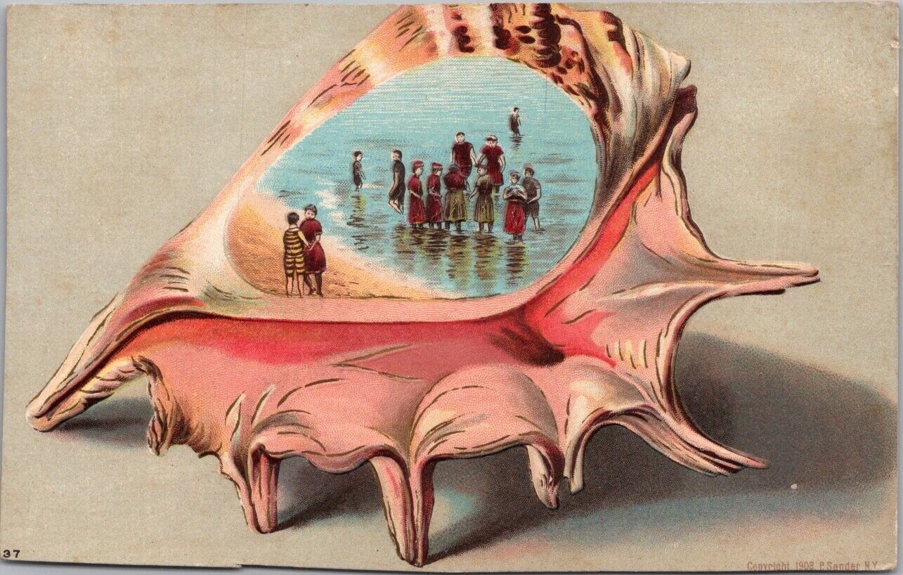 Vintage 1910s SEASHELL BORDER Embossed Greetings Postcard / Beach Bathing Scene