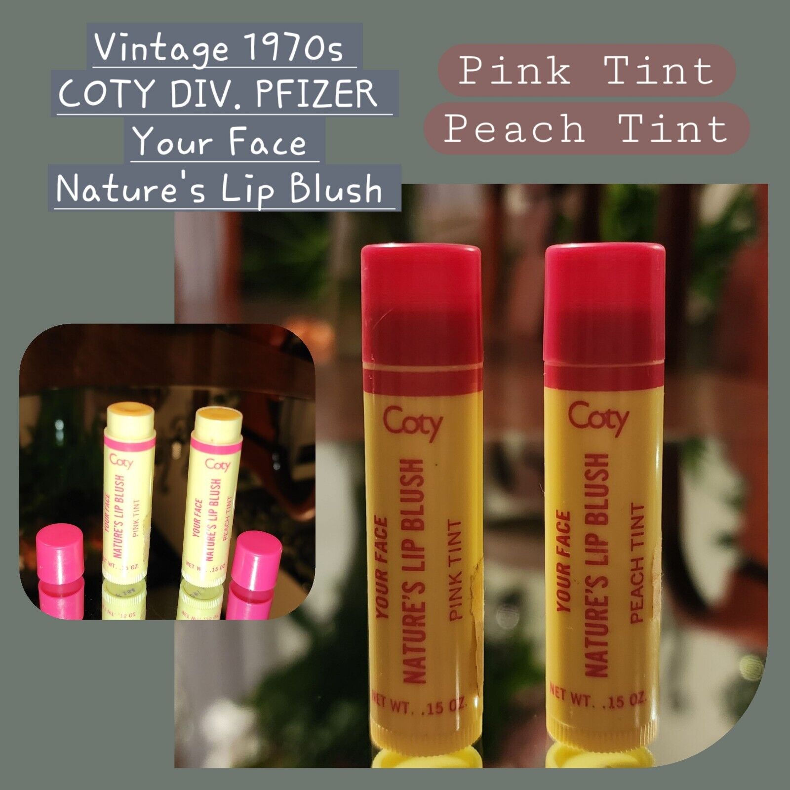 (2) Rare Vintage 1970s COTY Div Pfizer Your Face Nature's Lip Blush Lip Tint HTF