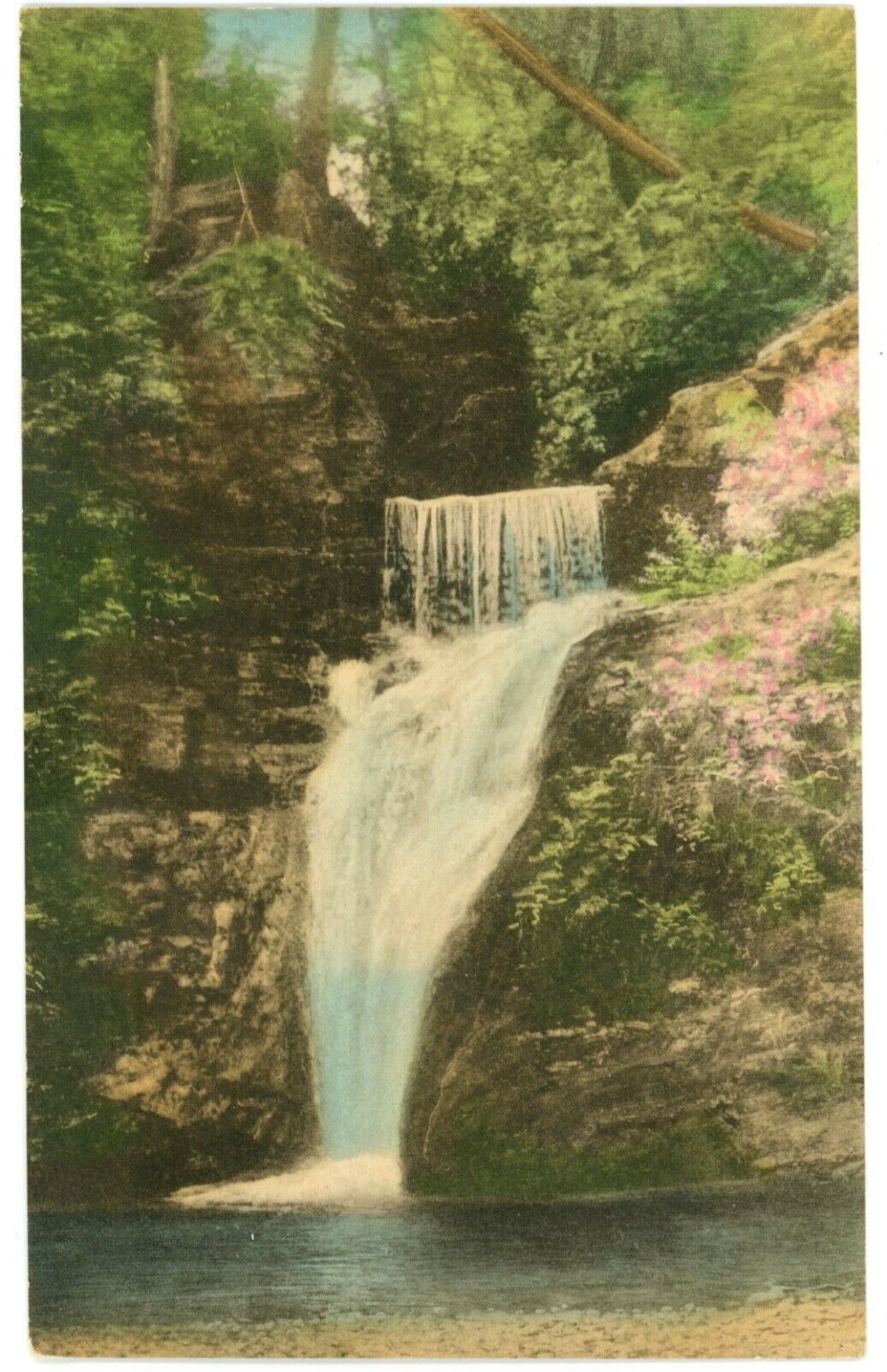 Beautiful Flowers Down The Lower Falls Buck Hills Falls, Pennsylvania Postcard