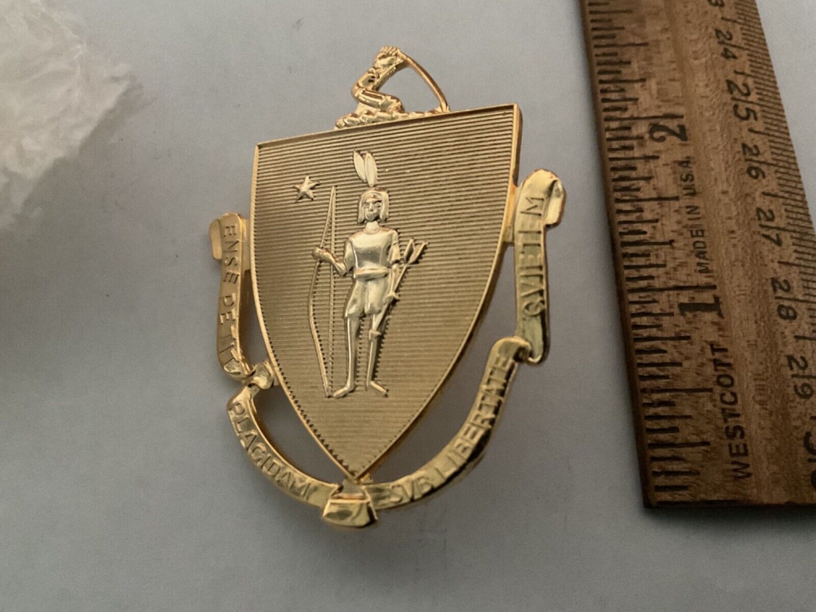 Massachusetts Indian State Shield collectable Gold  badge pin and screw on post