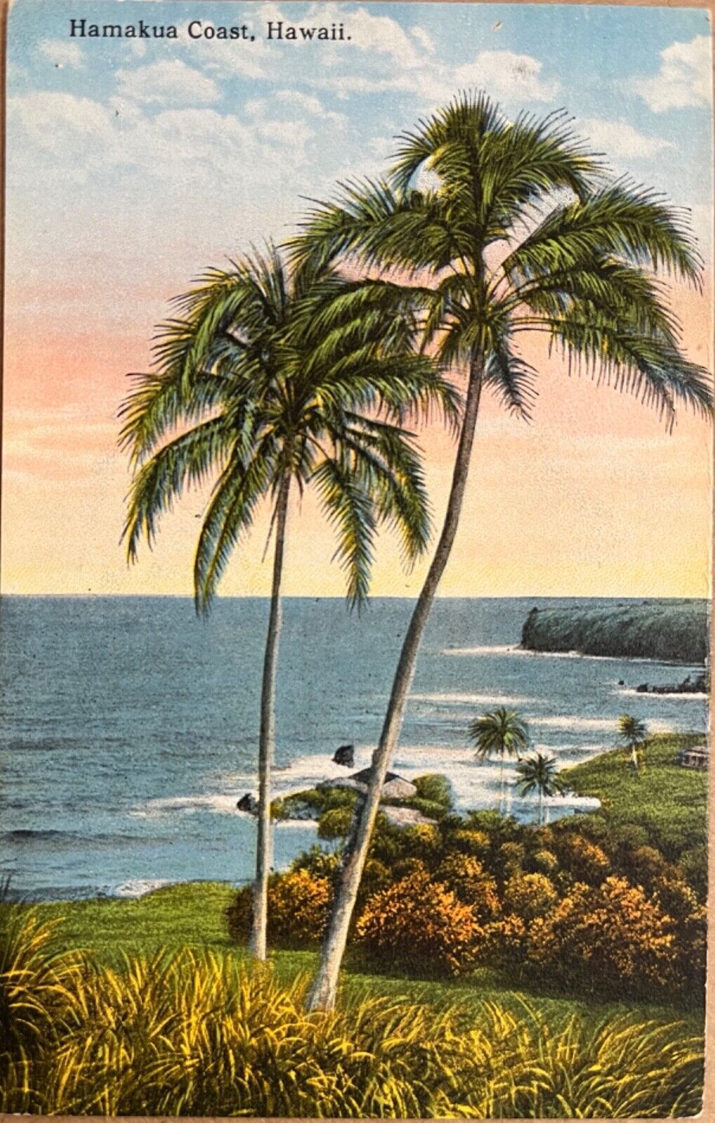 Hawaii Hamakua Coast Ocean View Palm Tree Scenic Antique Postcard