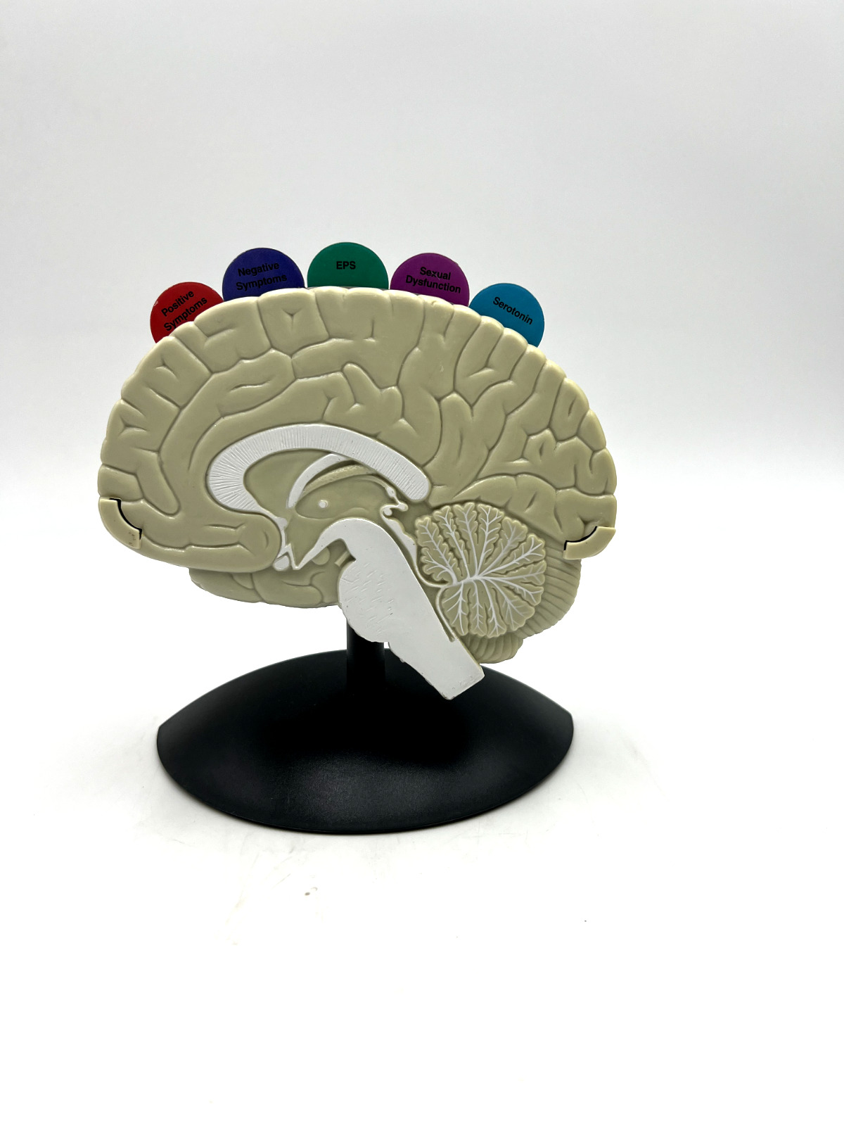 Geodon Brain Anatomical Model - Pharmaceutical Collectible - PFIZER 2002