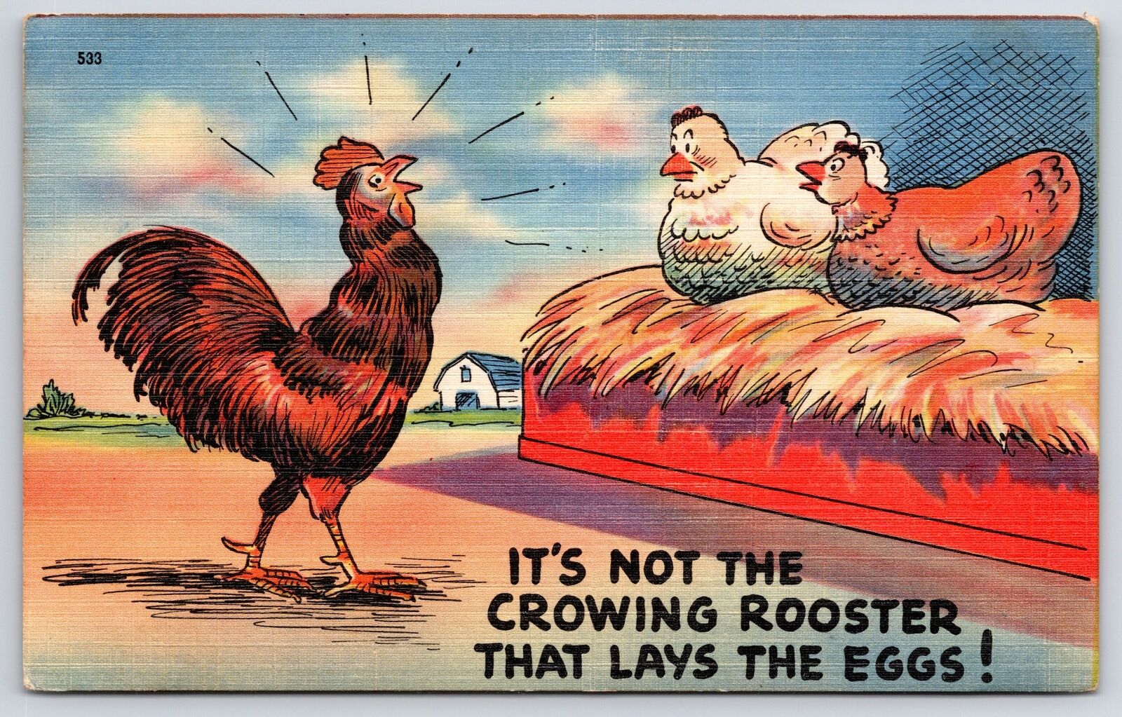 1948 Mother Hen Lays The Eggs It\'s Not The Rooster Comic Posted Postcard