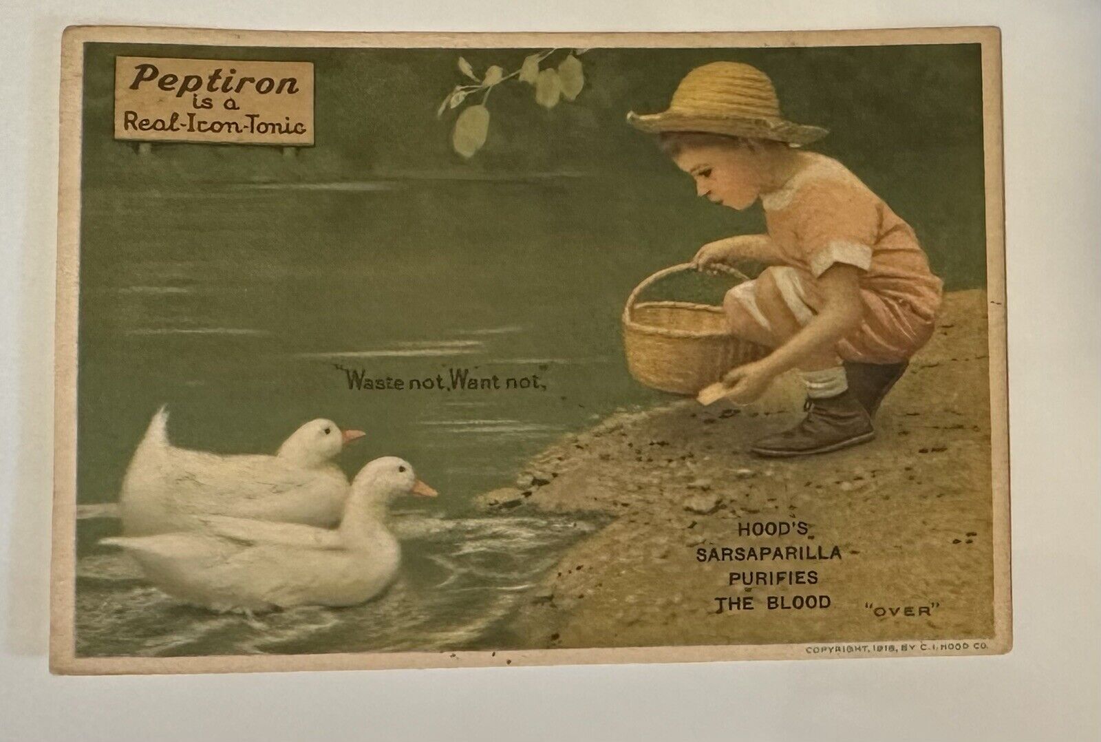 Vtg 1918Hood\'s Sarsaparilla Peptiron TONIC Trade  girl feeding ducks (1L)