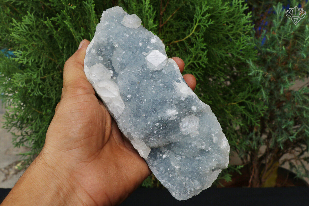 Natural White Apophyllite Minerals 699 gm Meditation Rough Specimen