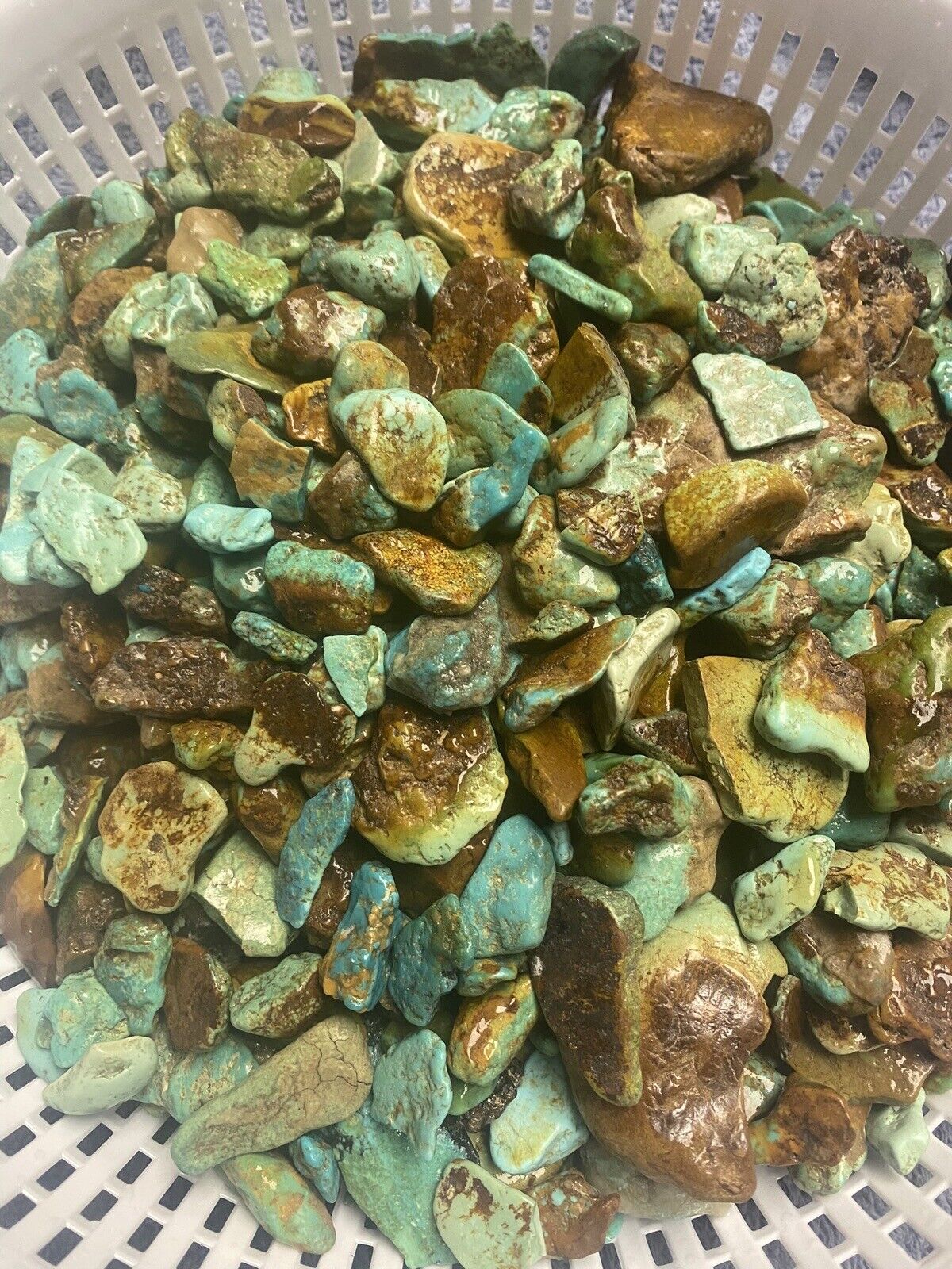 1 Pound Lots Of Stabilized Royston Turquoise Nevada Mined